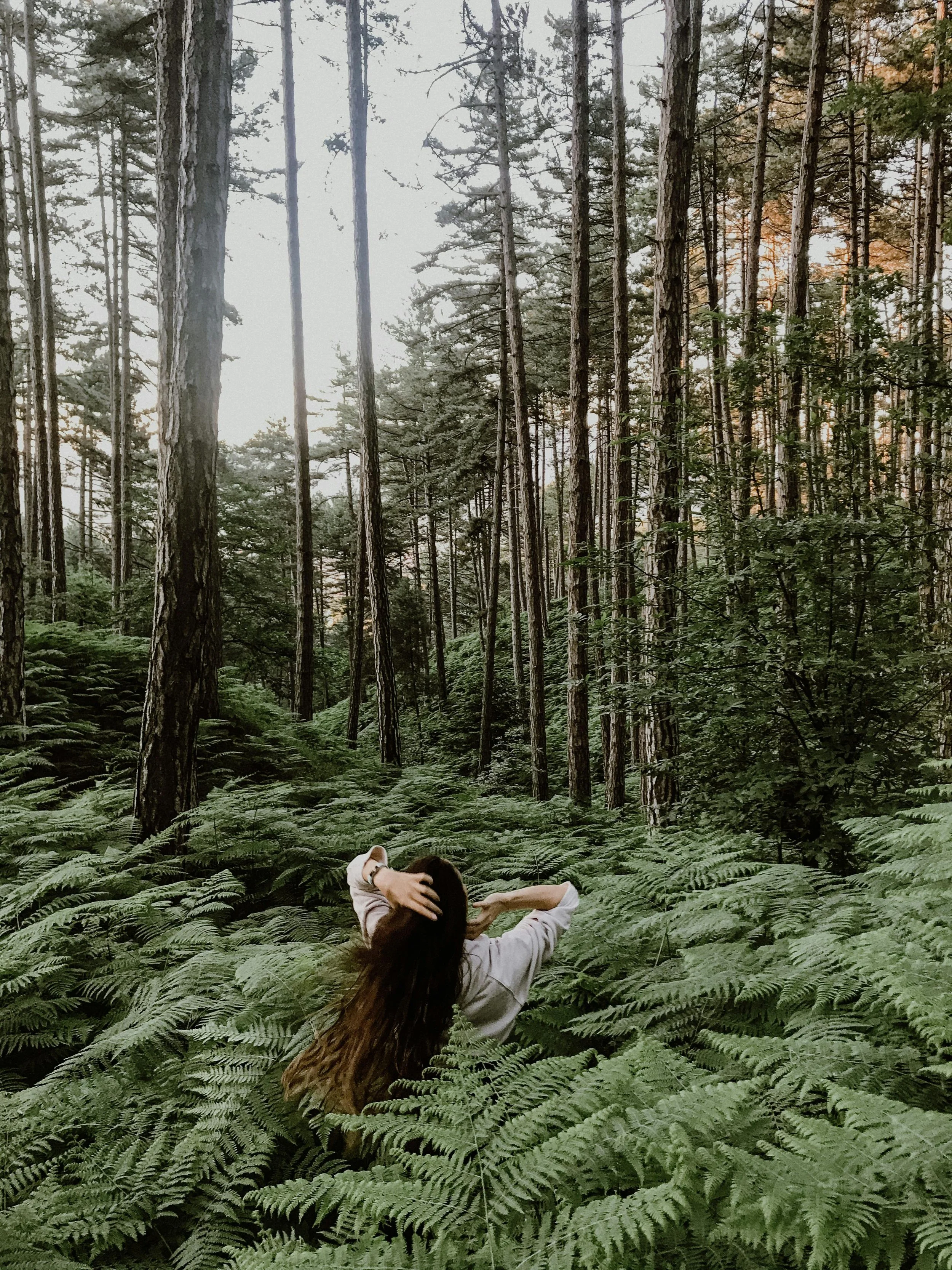 A woman with long hair, wearing a white shirt, sitting and relaxing among dense green ferns in a tall pine forest with a bright sky above.