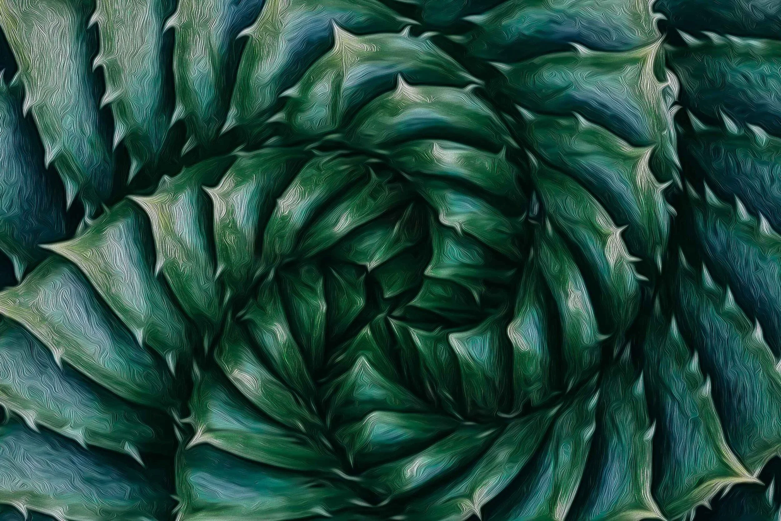 Close-up of a green succulent plant with thick, pointed leaves.