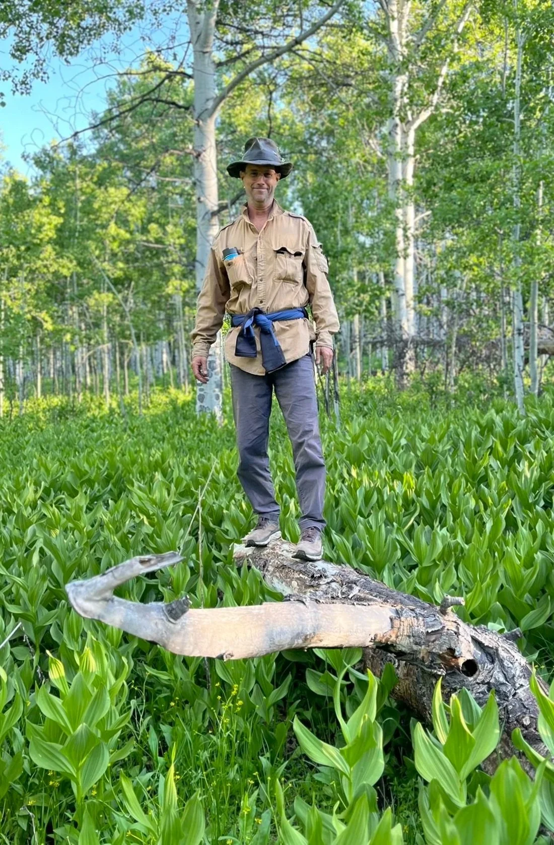 A man in outdoor attire standing on a fallen tree trunk in a green forest, surrounded by lush foliage and tall trees.