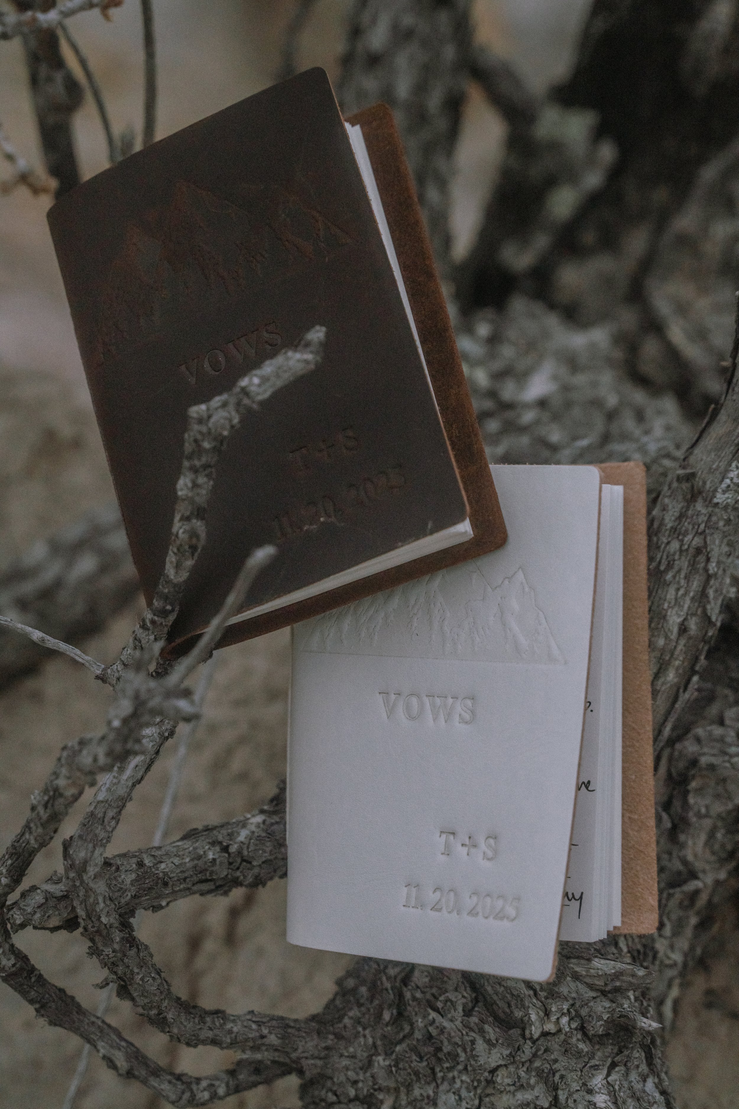 Trevor and Skyla-52.jpg