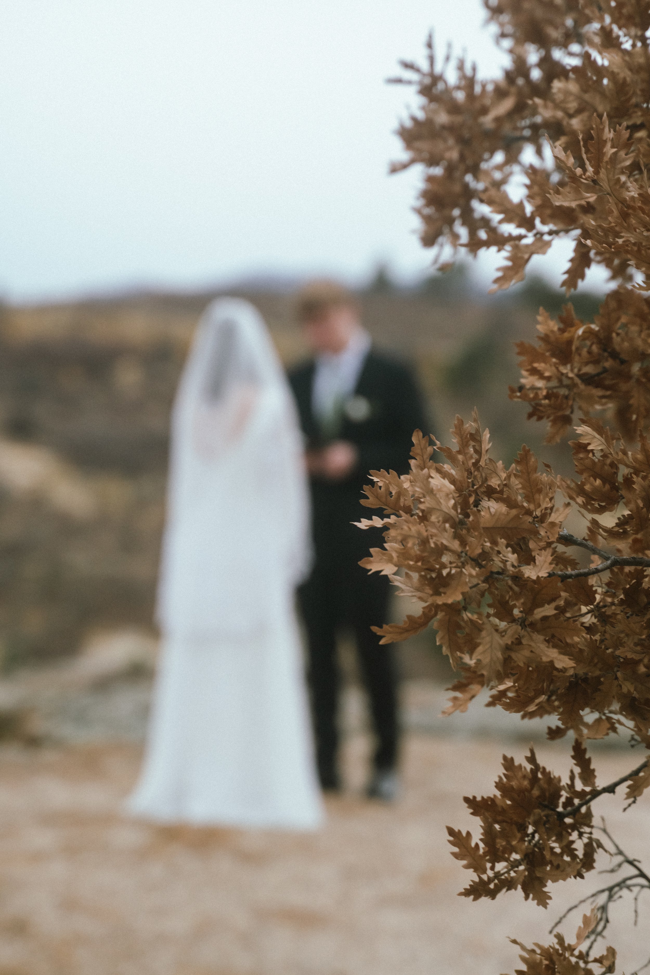 Trevor and Skyla-44.jpg