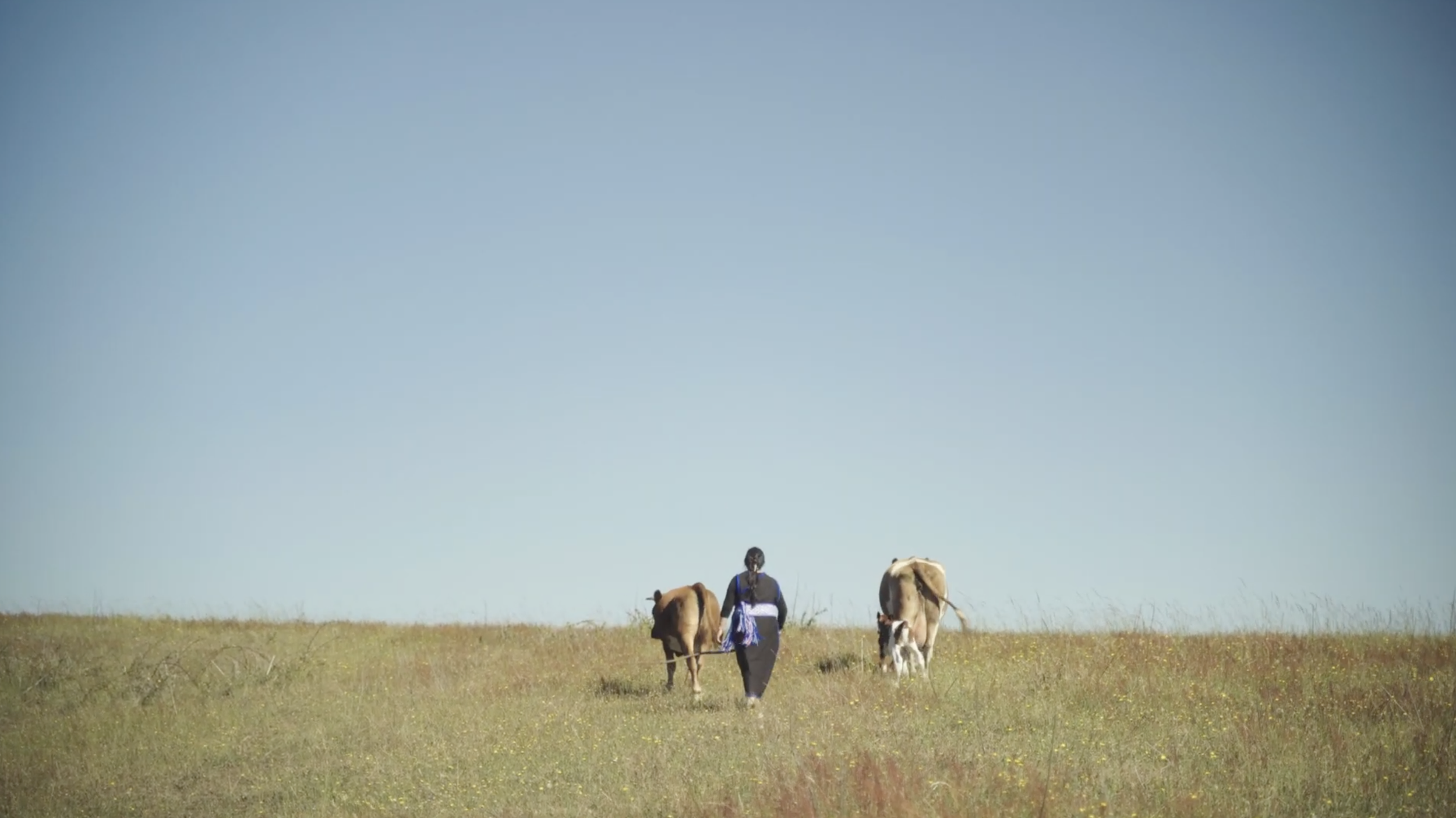 Screenshot 2025-12-26 at 11.48.12 a.m..png