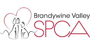 So your Getting a Dog 