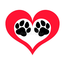 Small Steps Create big Change 