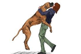 Stop Your Dog From Jumping on Guests