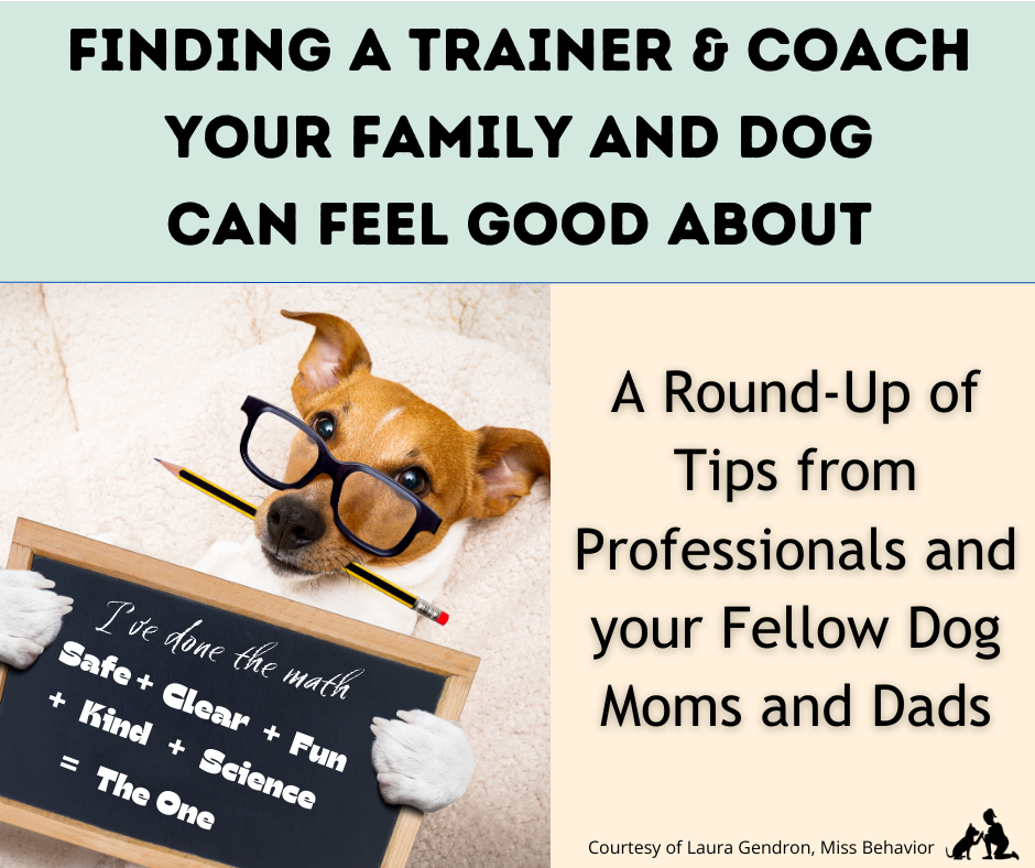 Dog training what are you buying .