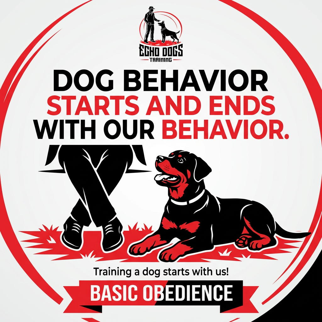 Logo for Echo Dogs Training with the slogan 'Dog behavior starts and ends with our behavior.' A person in black pants and a coat, and a dog sitting on the grass. The color scheme is red, black, and white.