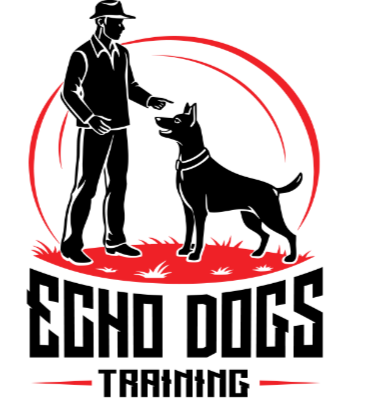 Echo Foundations Program