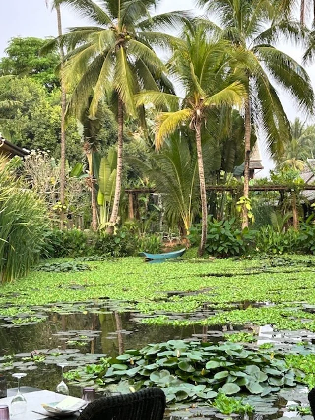Manda de Laos Restaurant. Tropical scene with palm trees, a pond with lily pads, and a blue boat, with part of a dining table and chairs visible in the foreground.
