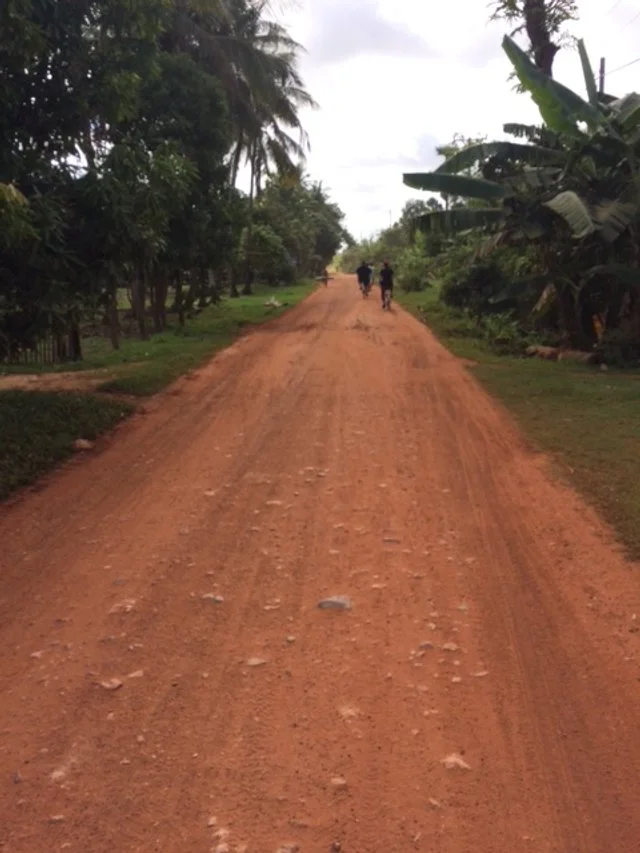 A wide dirt road surrounded by green trees and plants, with a few people walking in the distance under an overcast sky.