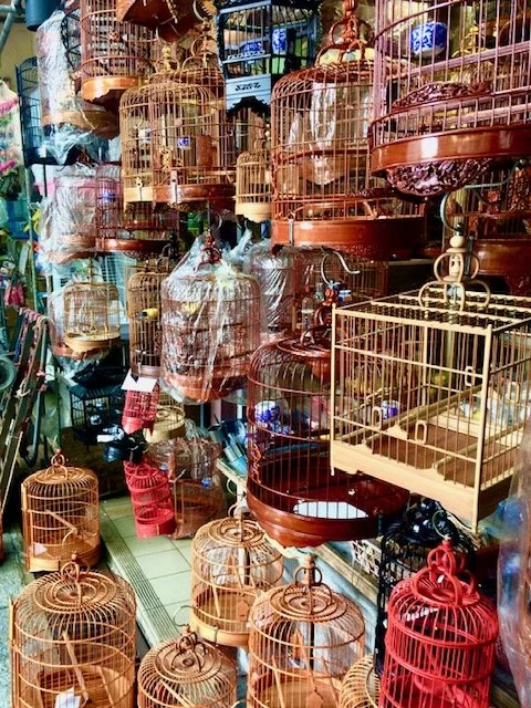 Bird Market with birdcages in various sizes and colors, stacked and hung on shelves.