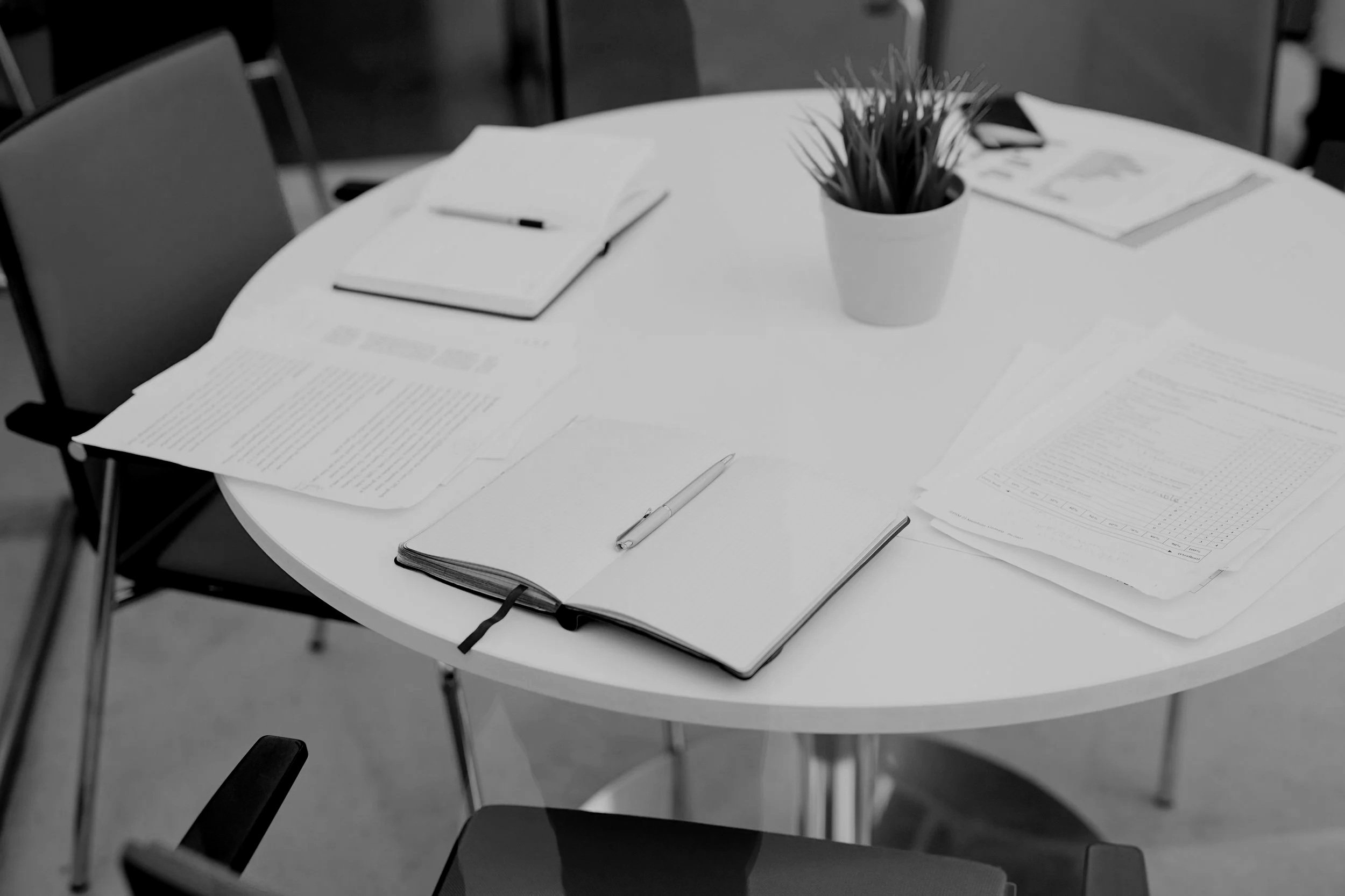 OneVoice Team Meeting