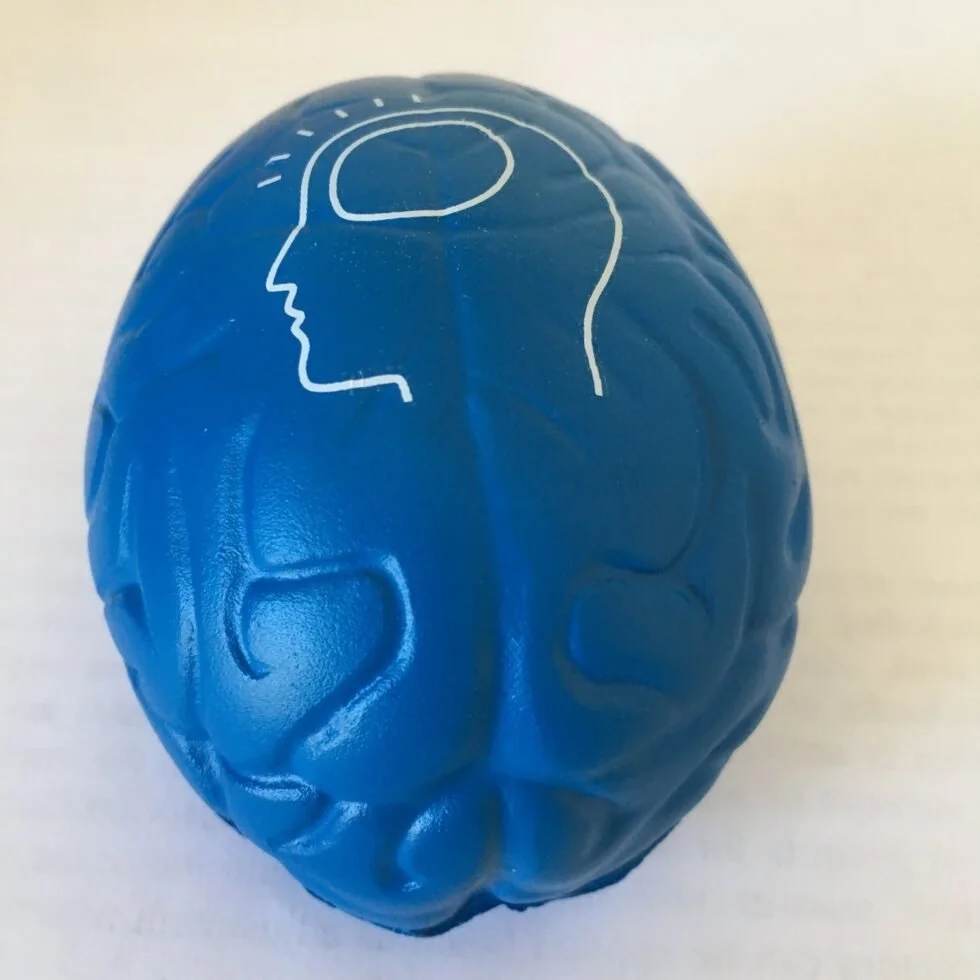 En blå boll med en vit linjeteckning av ett människohjärna i profil och ett hjärnmönster på toppen.