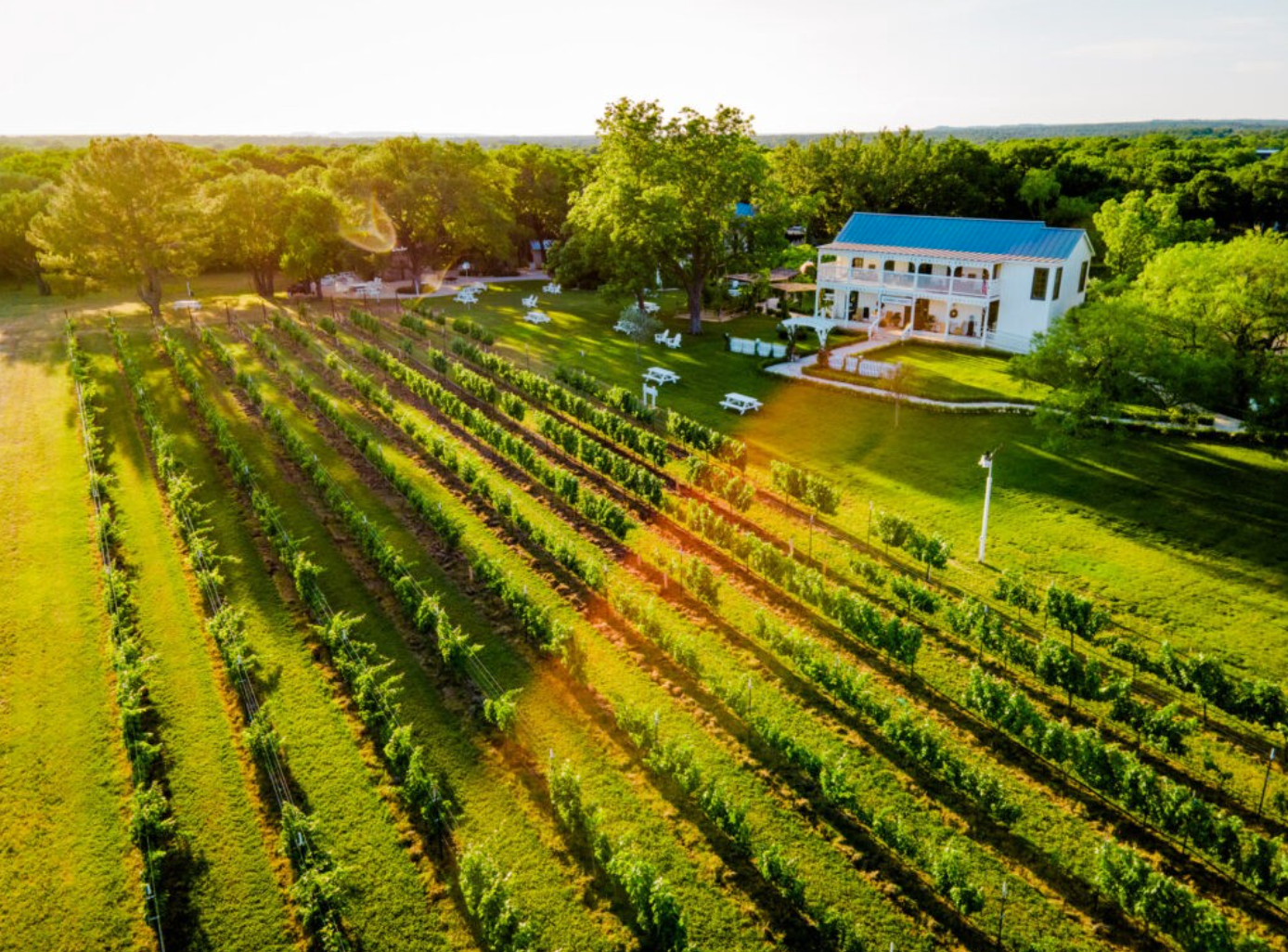 Screen Shot 2025-11-18 at 8.23.09 PM.png