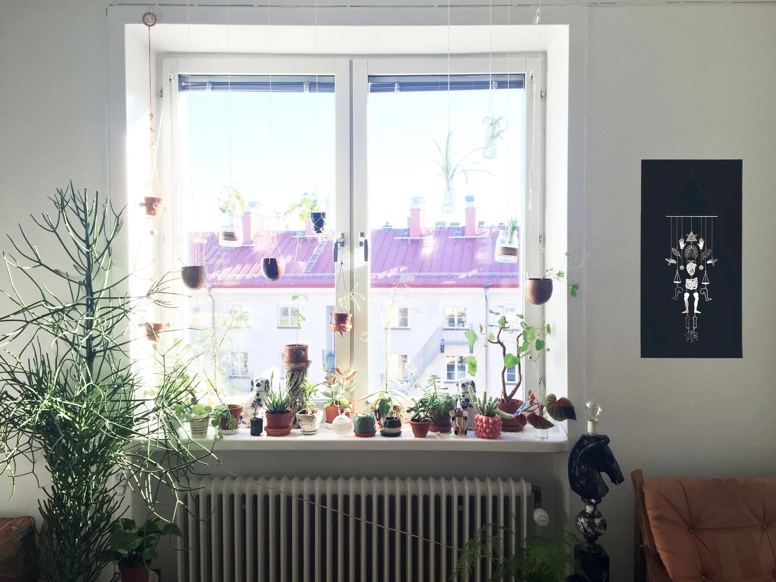 Milagros for J - at owners home