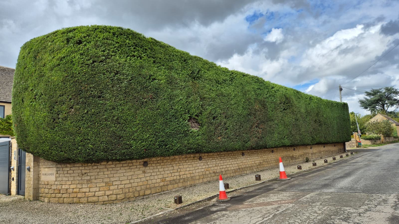 Large, neatly trimmed hedge on top of a brick wall along a suburban street with traffic cones and cloudy sky in the background.