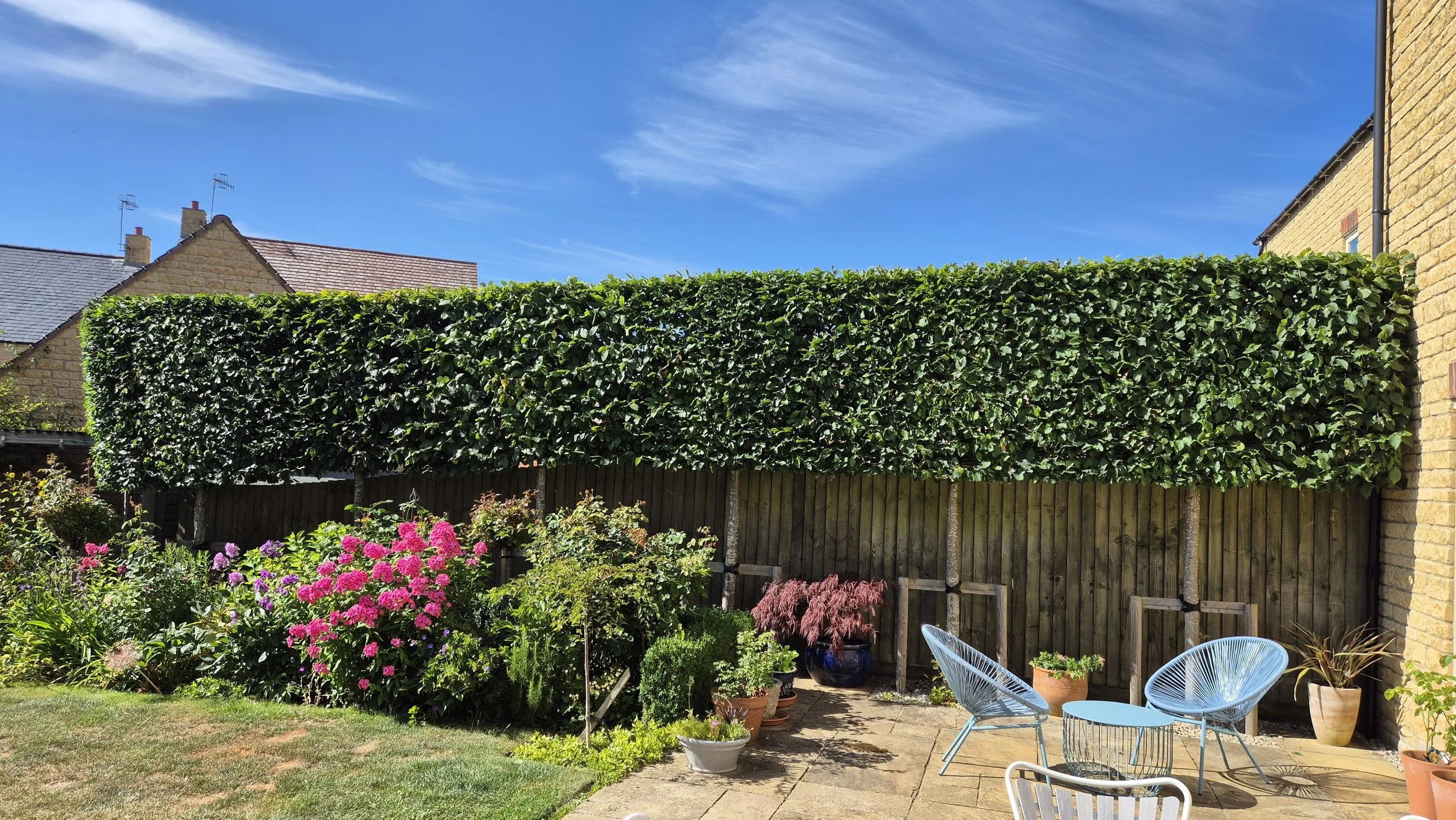 A backyard garden with a green hedge, colorful flowers, potted plants, and two white outdoor chairs on a patio under a blue sky.