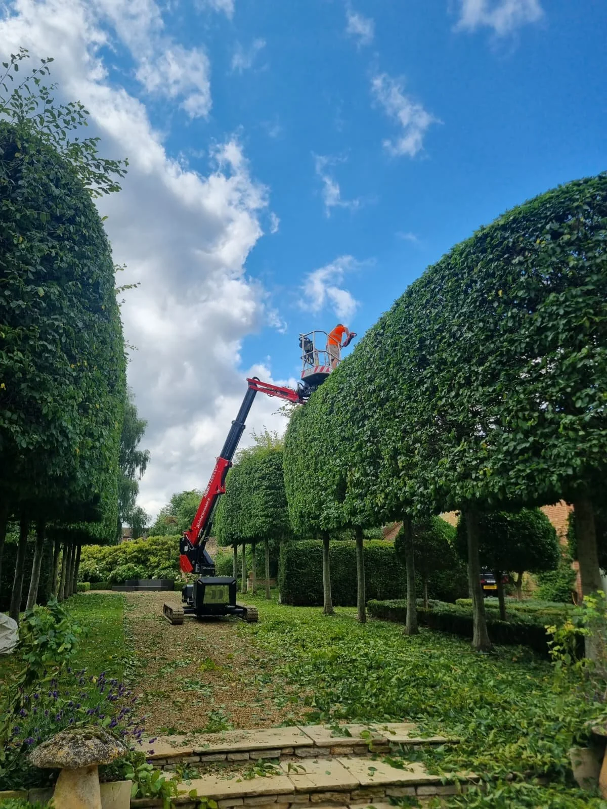 A worker in an orange safety vest and helmet is on a cherry picker trimming tall, neatly shaped trees in a garden under a partly cloudy sky.