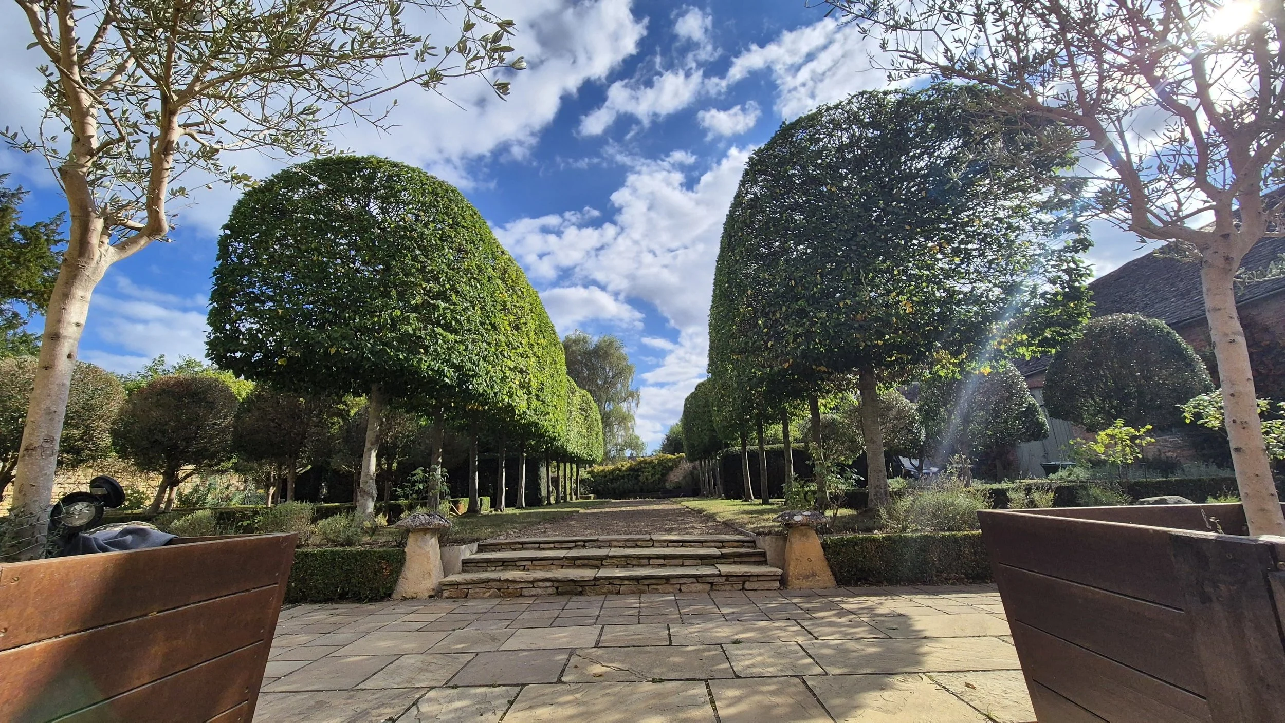 A park with trimmed trees lining a stone pathway, steps leading up, and a partly cloudy sky with sunlight streaming through the trees.