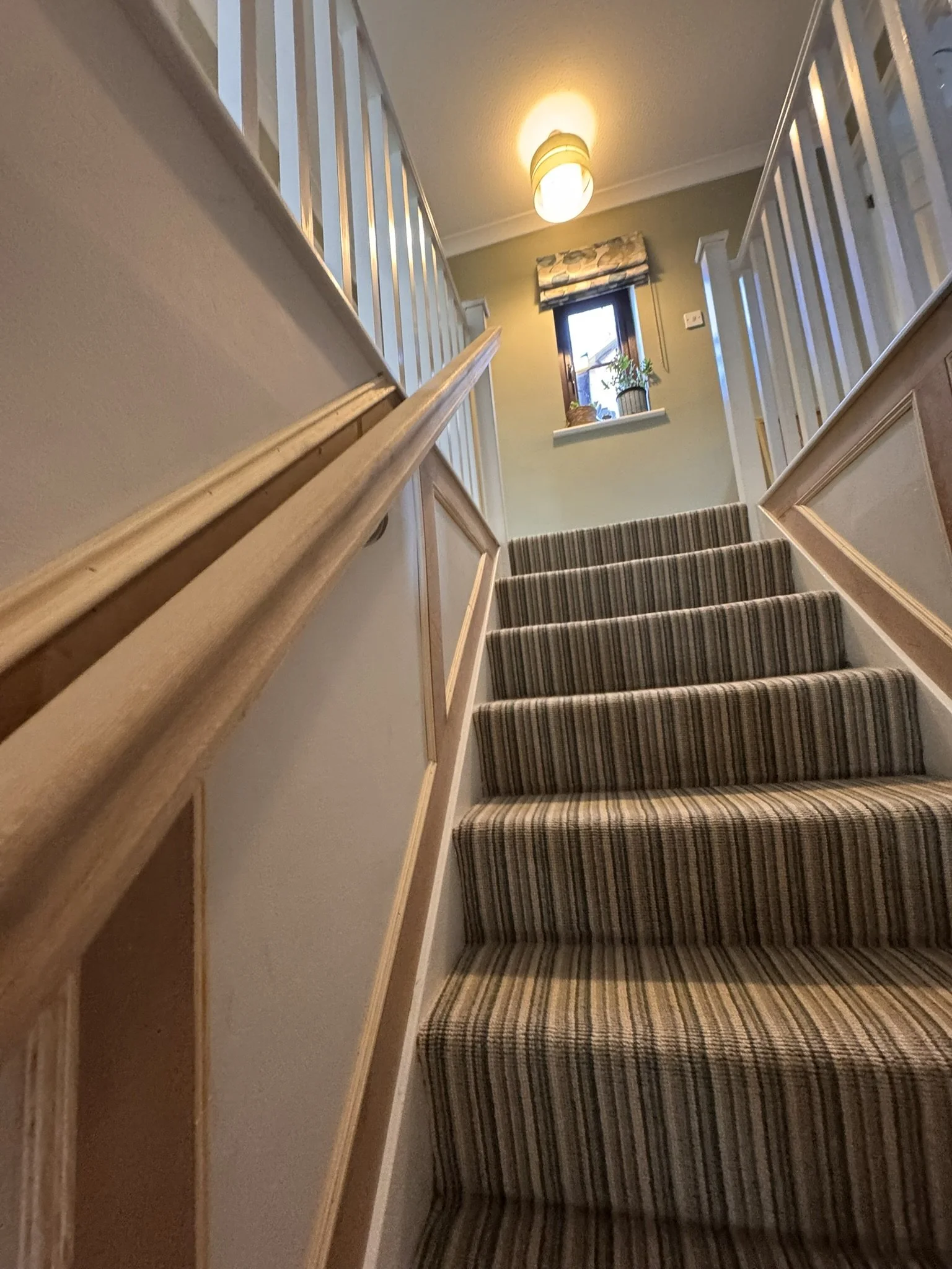 The image shows a staircase with striped carpet leading up to a small landing with a window, a potted plant, and outdoor scenery visible through the window. The staircase has white walls with wood trim and a wooden handrail, illuminated by a ceiling 