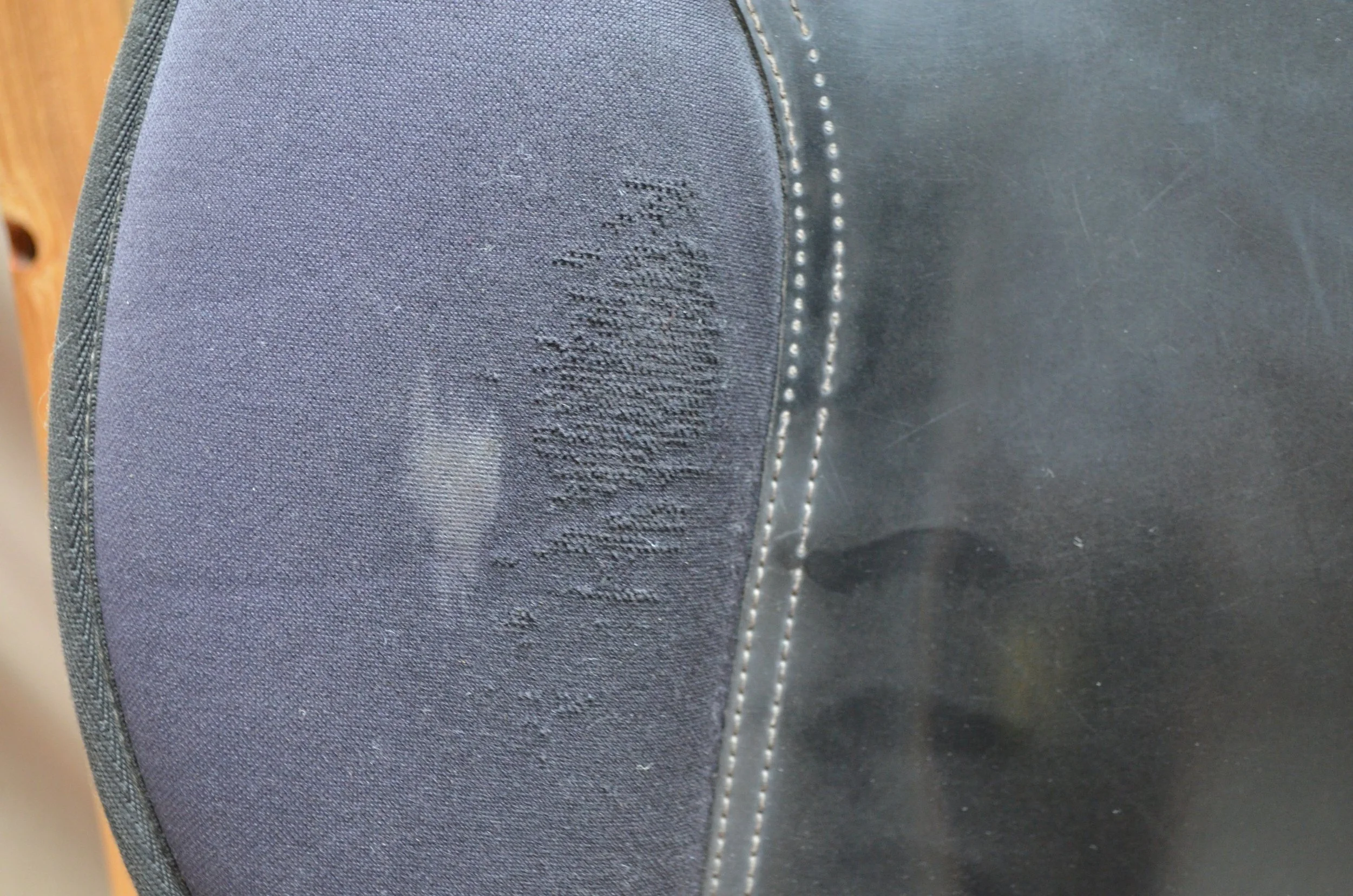 DSC_0426.JPG