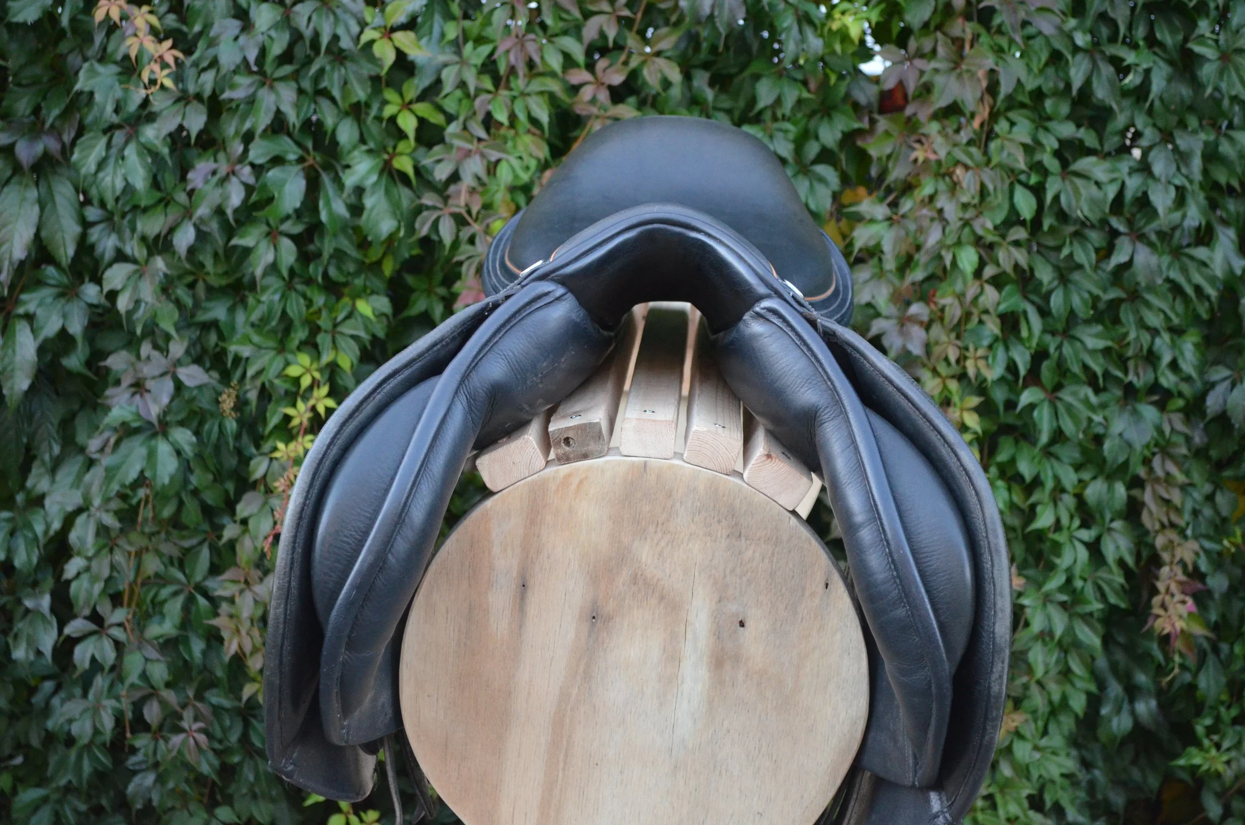 DSC_2144.JPG