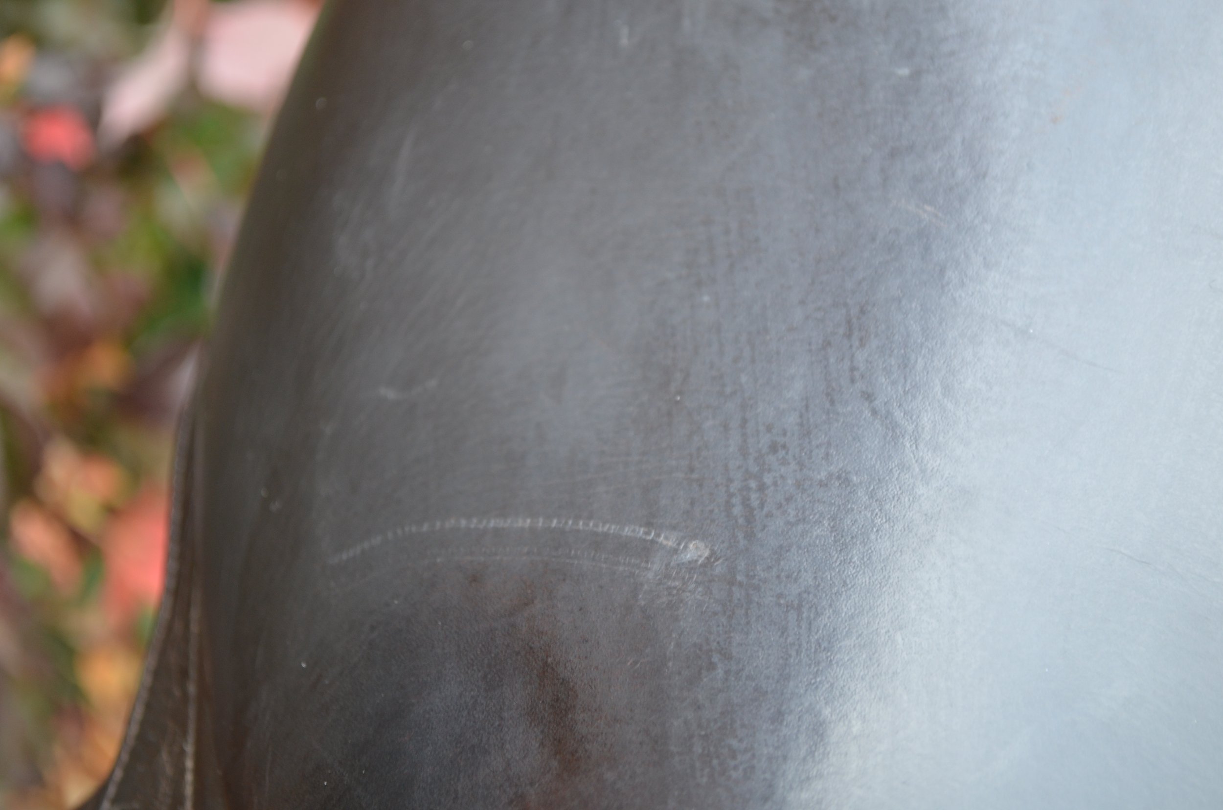 DSC_2538.JPG