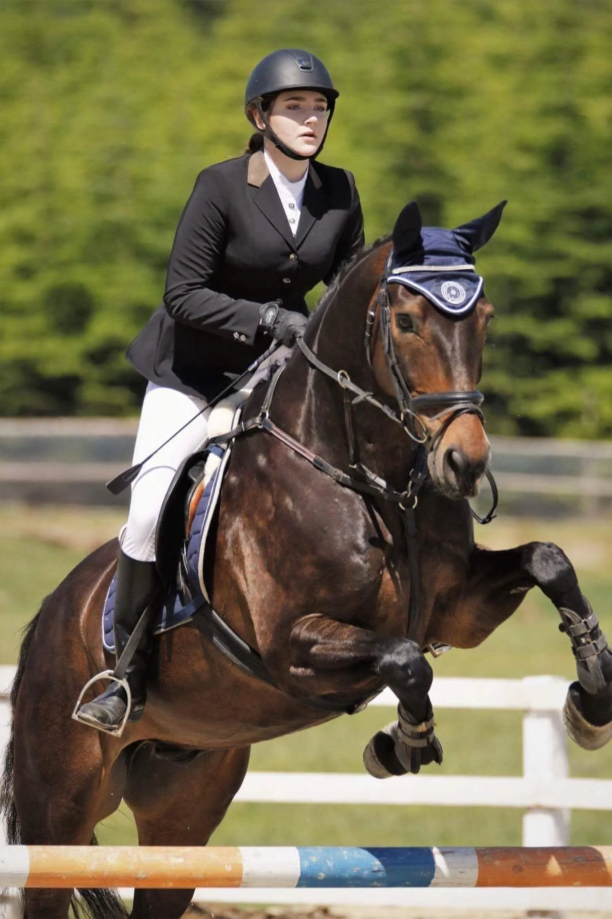A female equestrian dressed in formal riding attire, including a black helmet, black jacket, and white riding pants, riding a brown horse over an obstacle during show jumping competition.