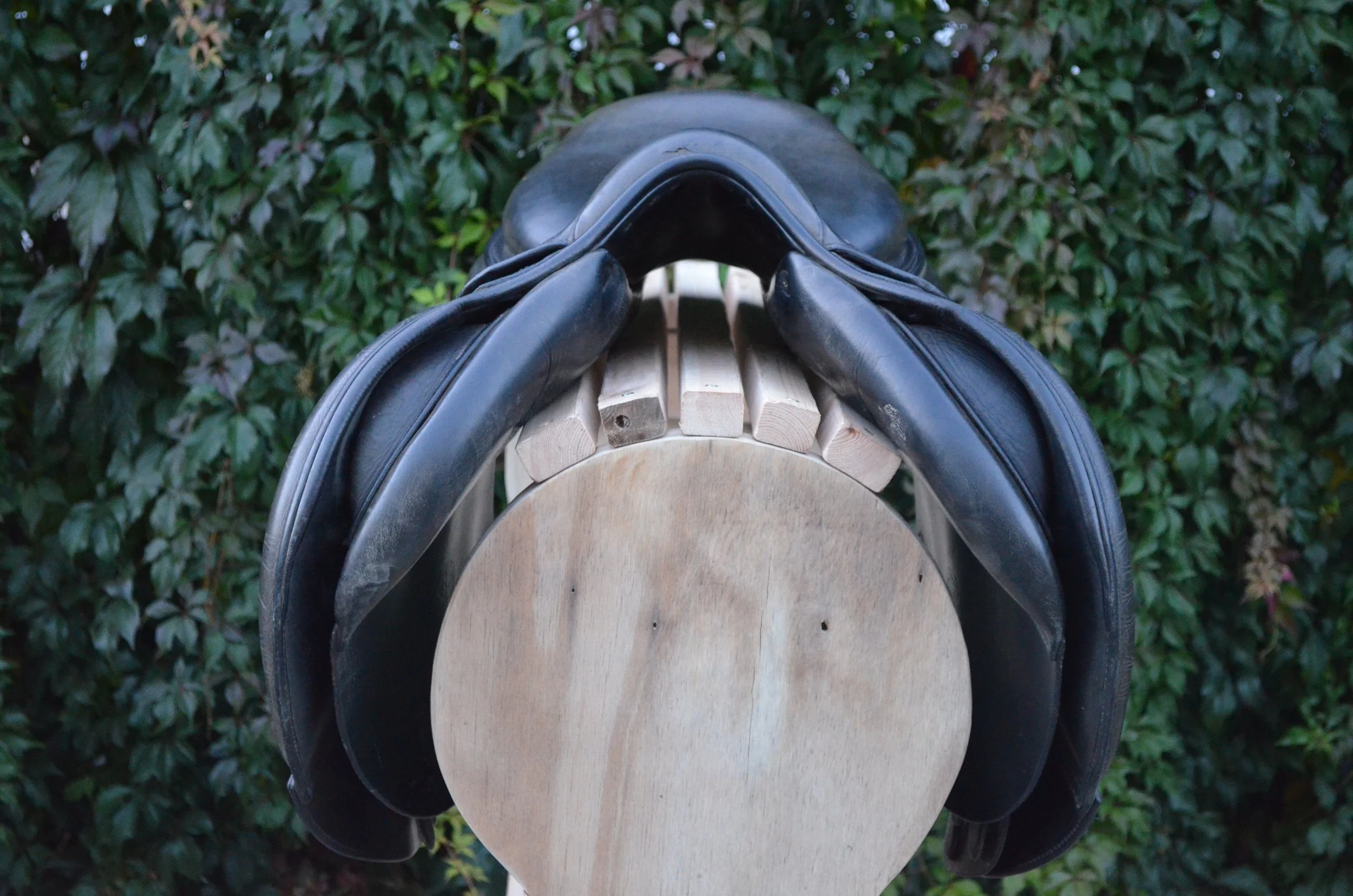 DSC_2195.JPG
