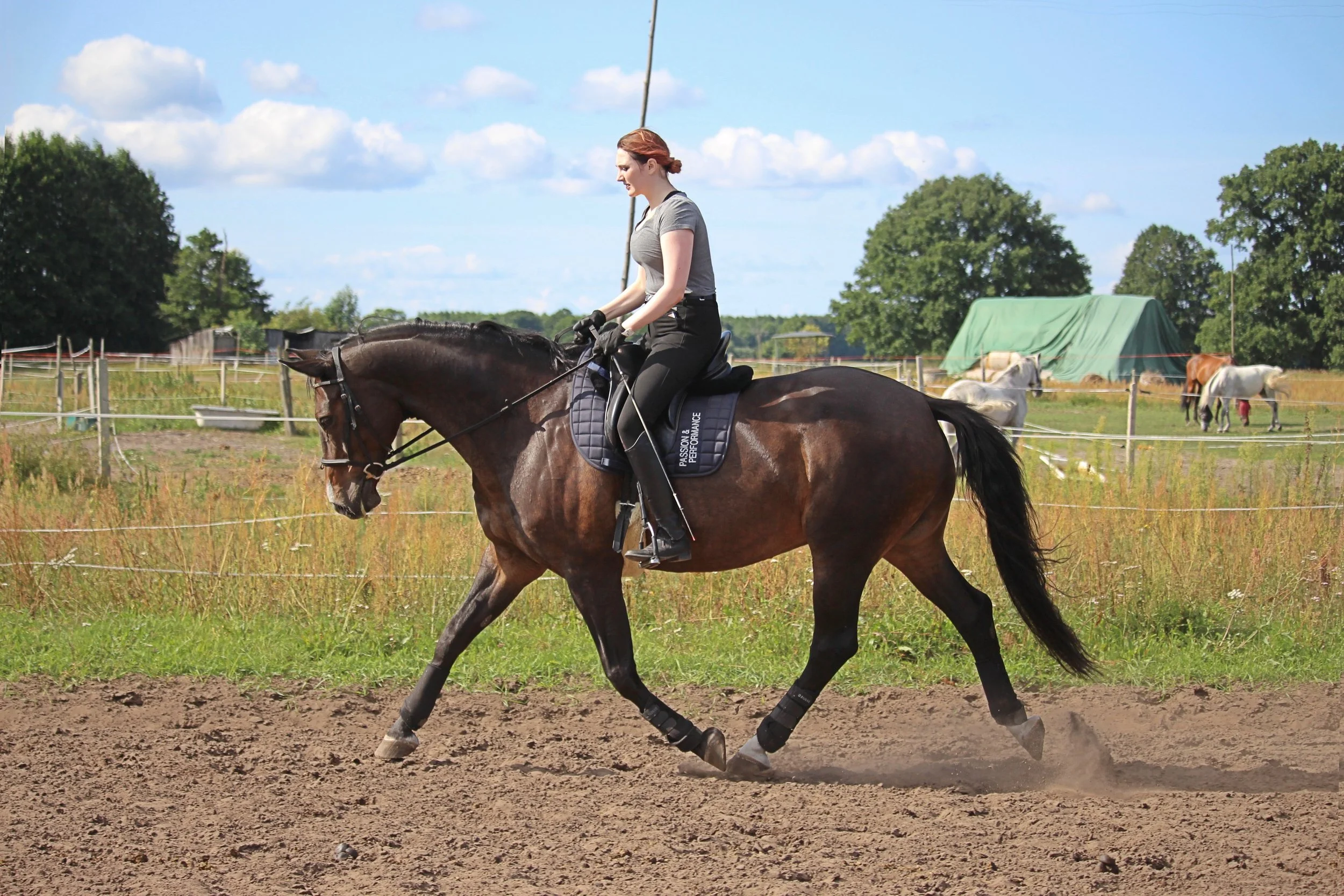 A woman riding a dark brown horse on a dirt track during daytime, with a fence, trees, and several other horses resting in the background.