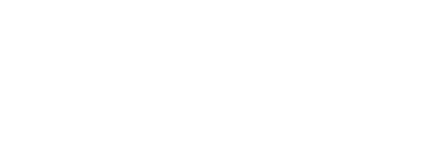 von Nida Consulting