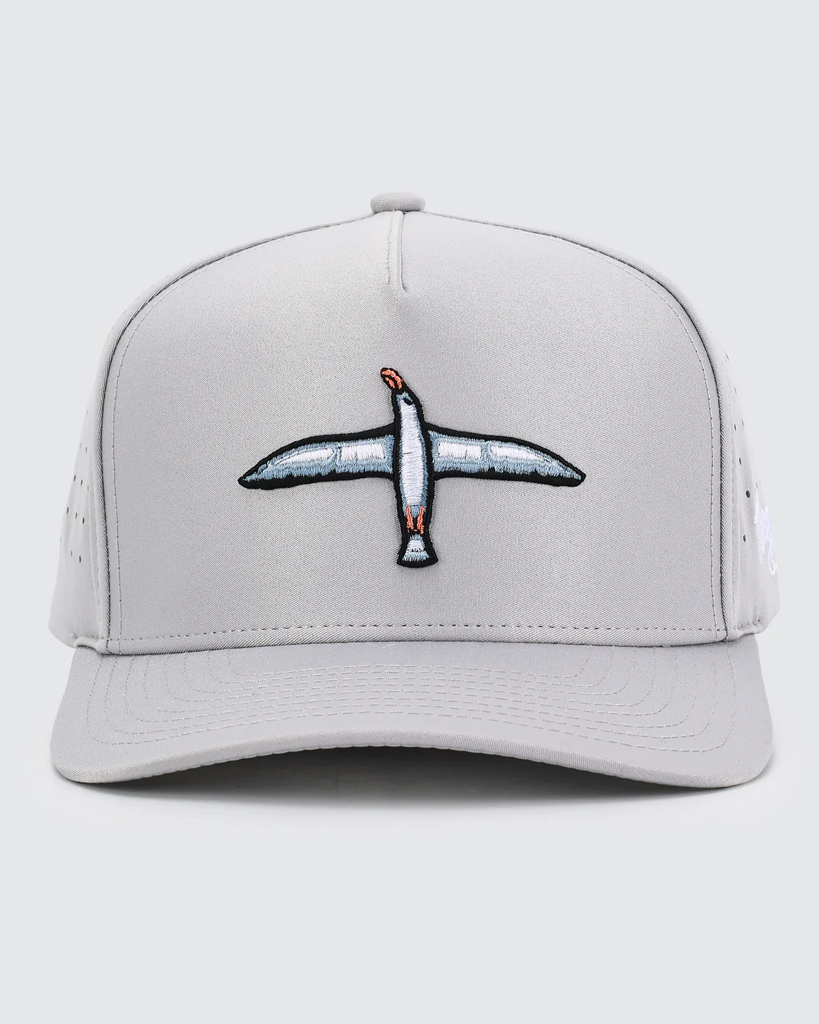 albatross_hat_1.png