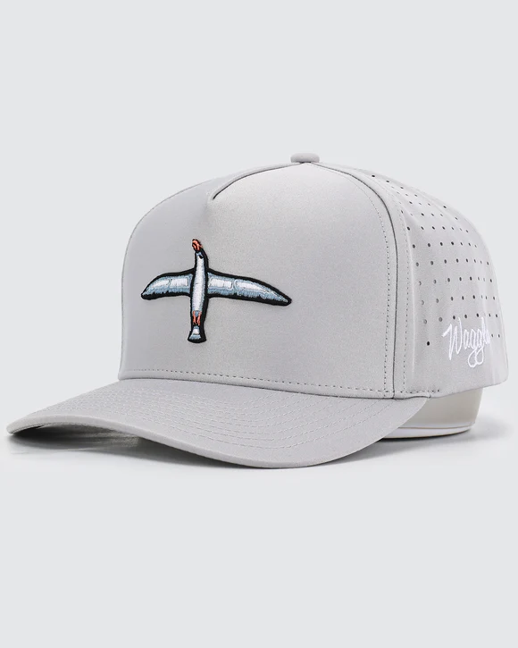 albatross_hat_2.png