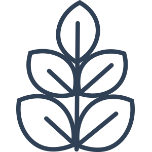 RYOS supplements are gluten free