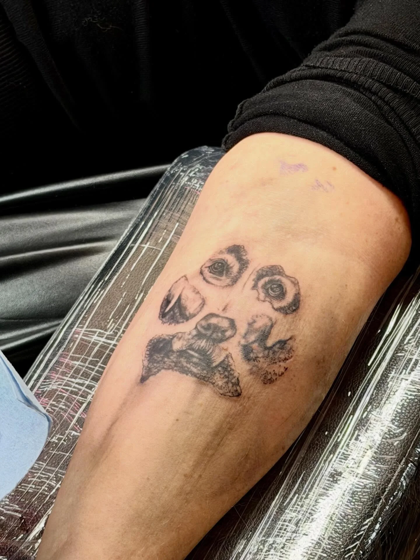 Here&rsquo;s a sneak peek from today&rsquo;s session! 🖊️💕

A pet portrait nestled within a paw print. 🐶🐾

If you&rsquo;re interested in a pet portrait, send me a message! I have special promotions running throughout December and January. :) 

#yy