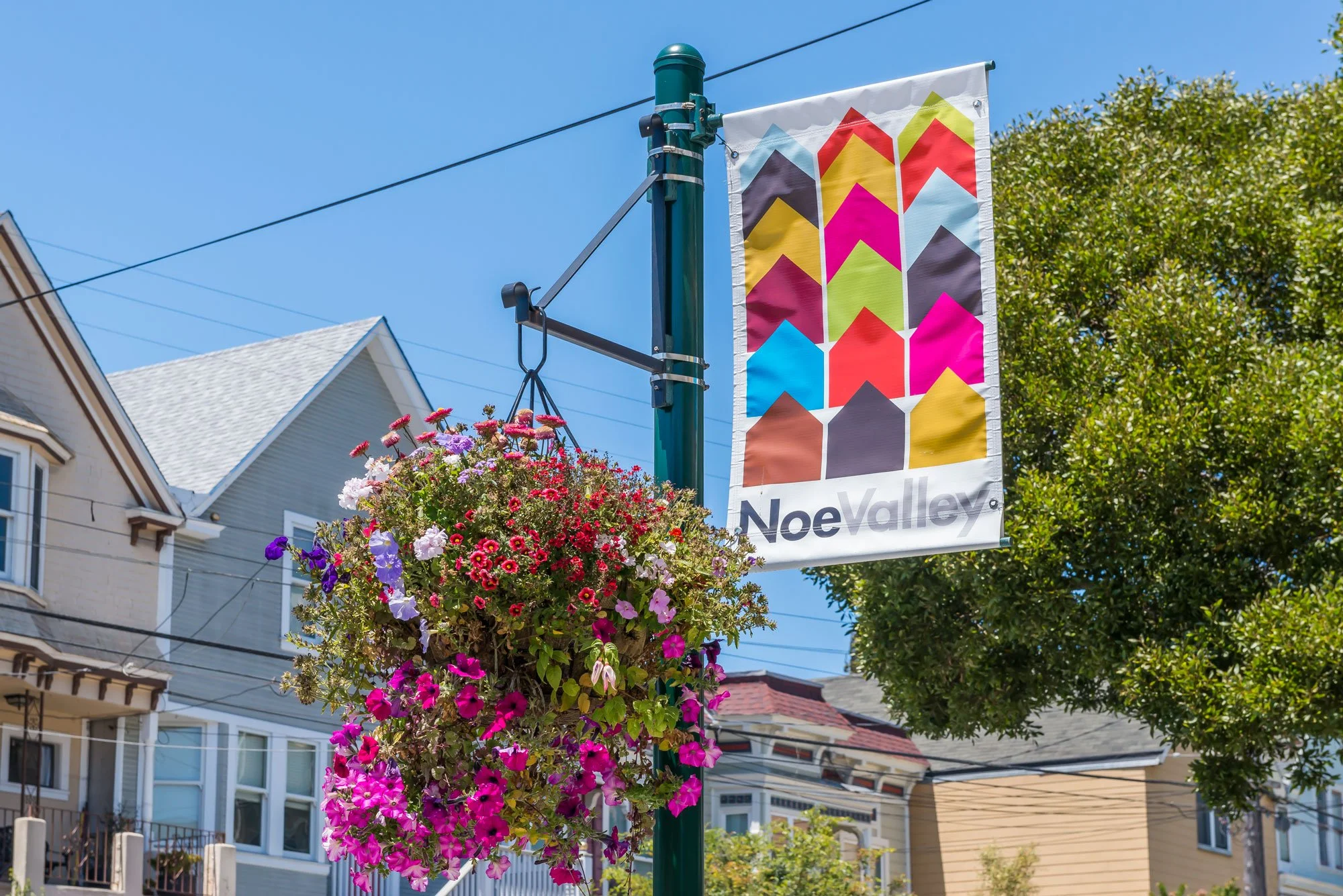 Street sign with colorful arrow pattern labeled 'Noe Valley,' next to a hanging basket of vibrant flowers, in front of residential houses and a tree.