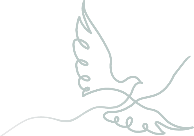 Line drawing of a butterfly with outstretched wings.