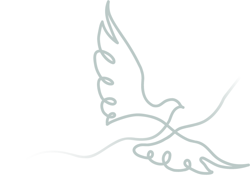 Line drawing of a dove with outstretched wings