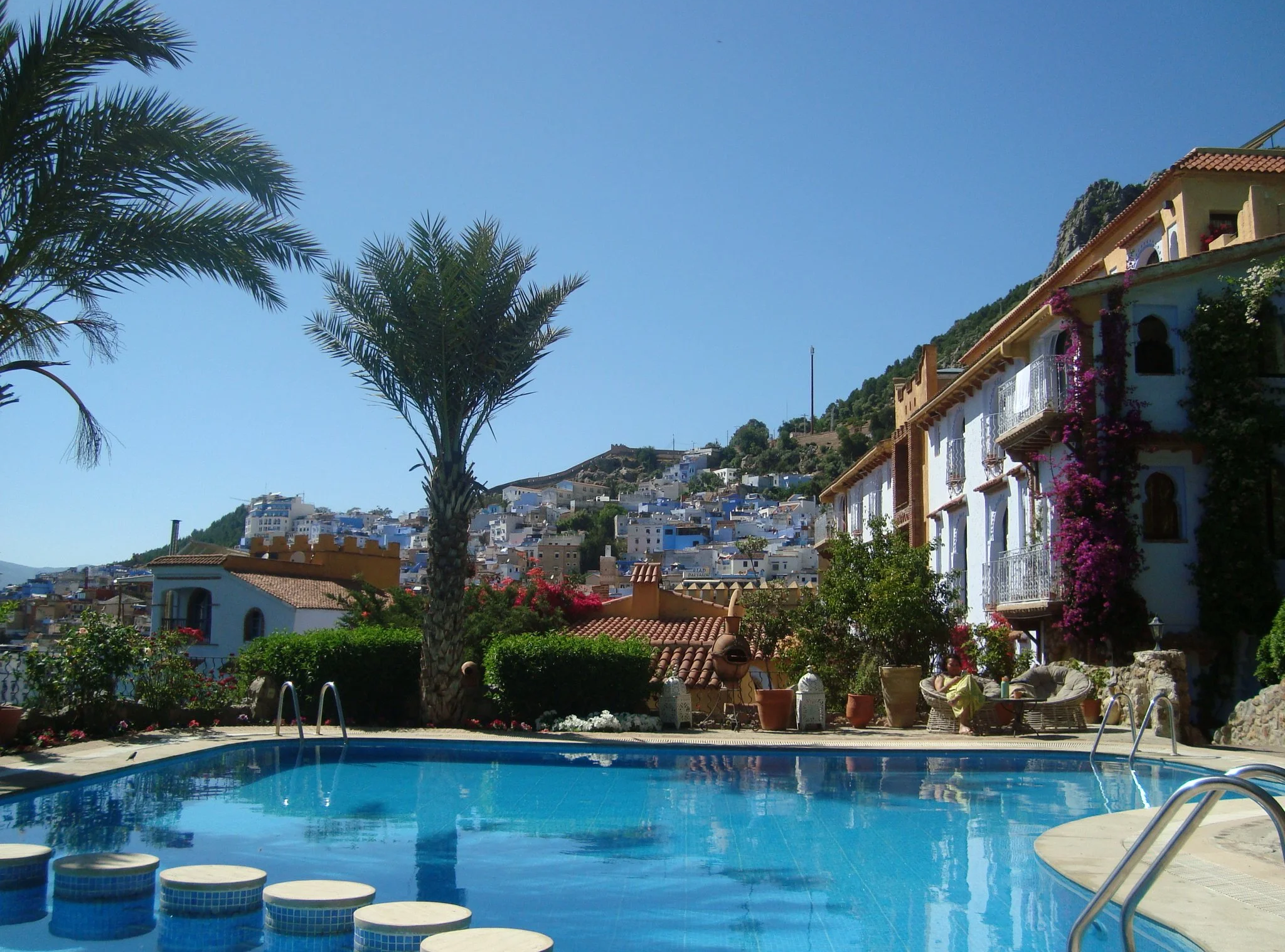A swimming pool surrounded by plants, including a tall palm tree, with a hillside town of white buildings in the background under a clear blue sky.