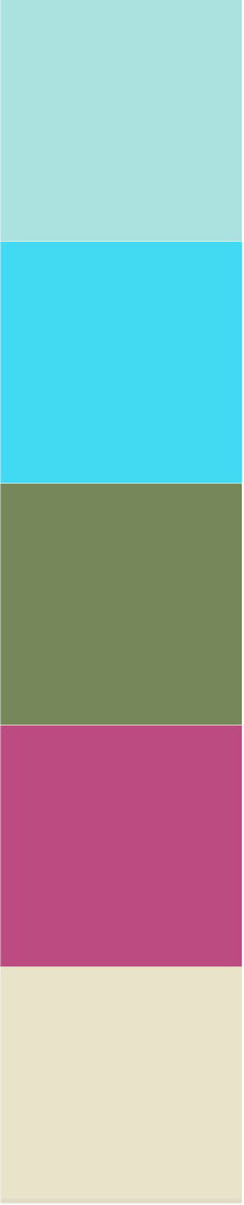 Vertical stack of five solid color rectangles: light blue, bright blue, olive green, purple, and beige.