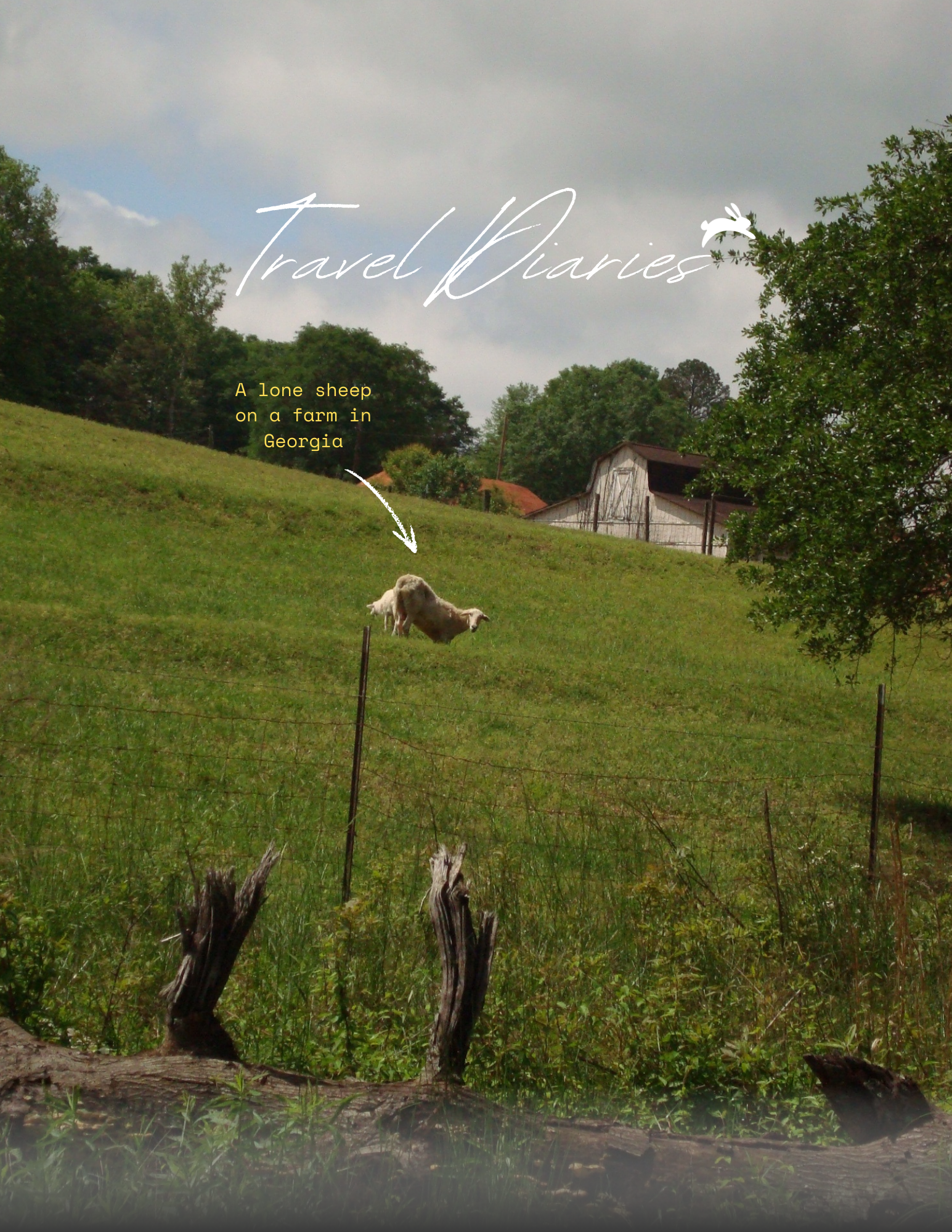 Not just a booking tool—content of unique experiences found in the app highlight Hopper's travel video and AI travel agent features.