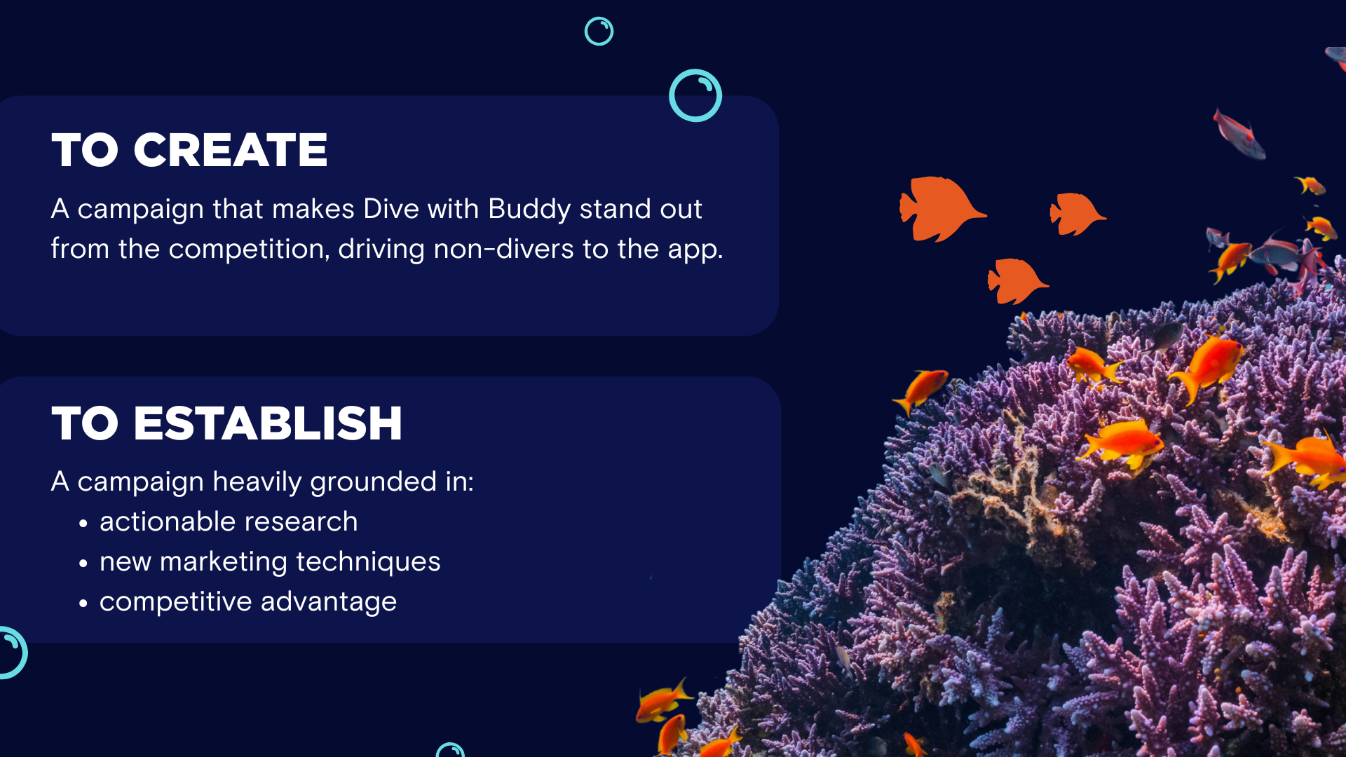 Research and surveying helped us to actualize Dive With Buddy's goals.