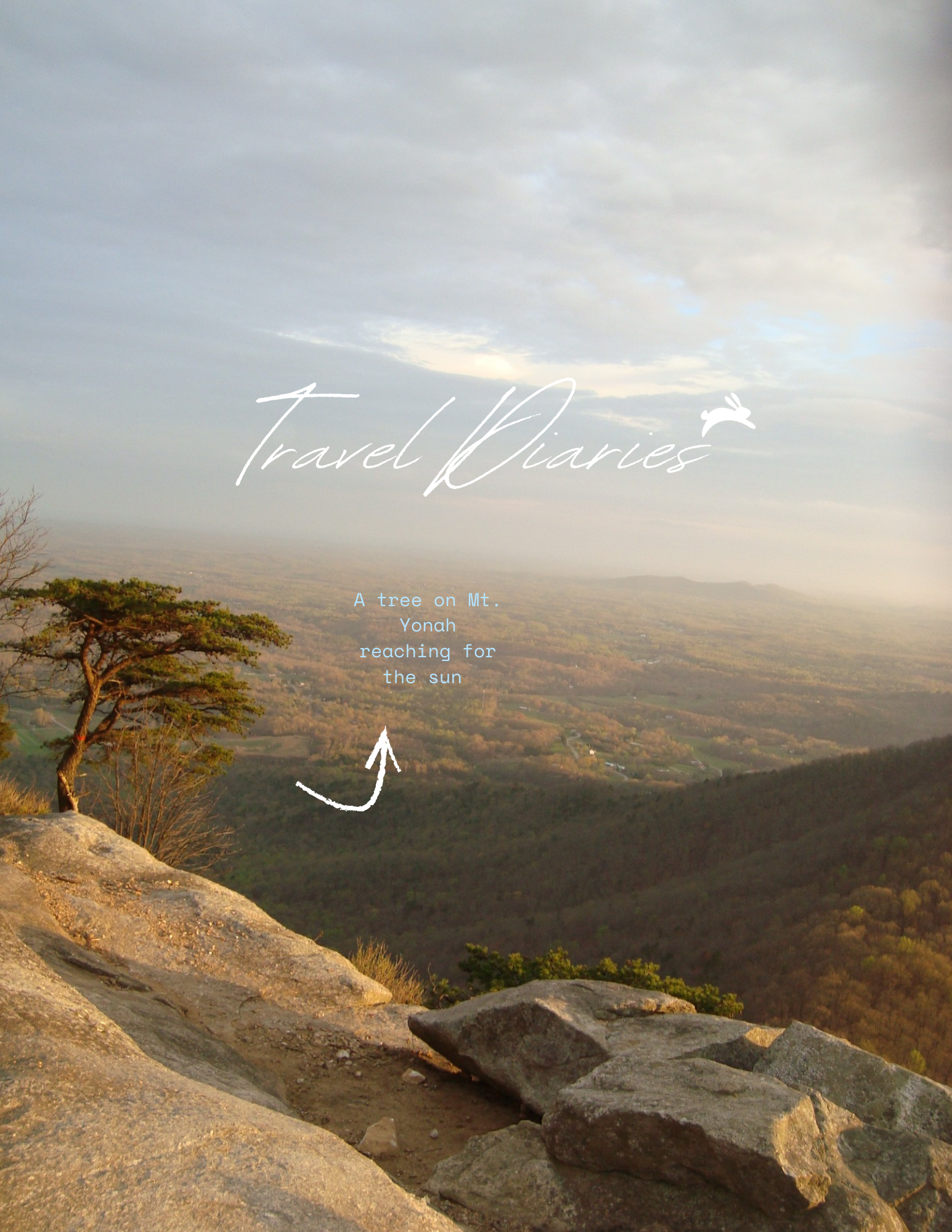 Transforming Hopper's socials as a growth engine, building credibility in the app and its features using the experiences shared by real people.