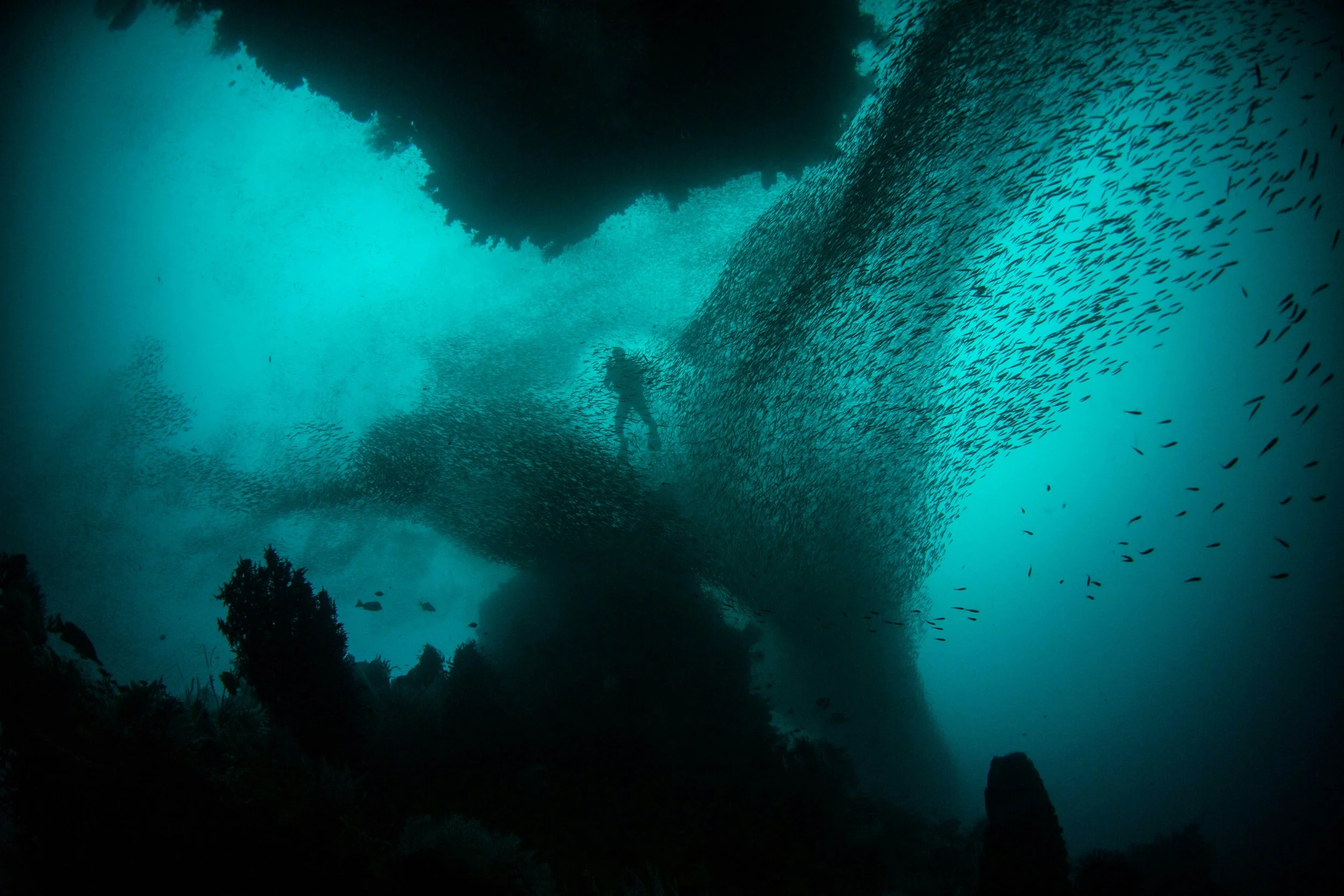 Plongée sous-marine avec un plongeur entouré par une multitude de petits poissons dans une grotte sous-marine.