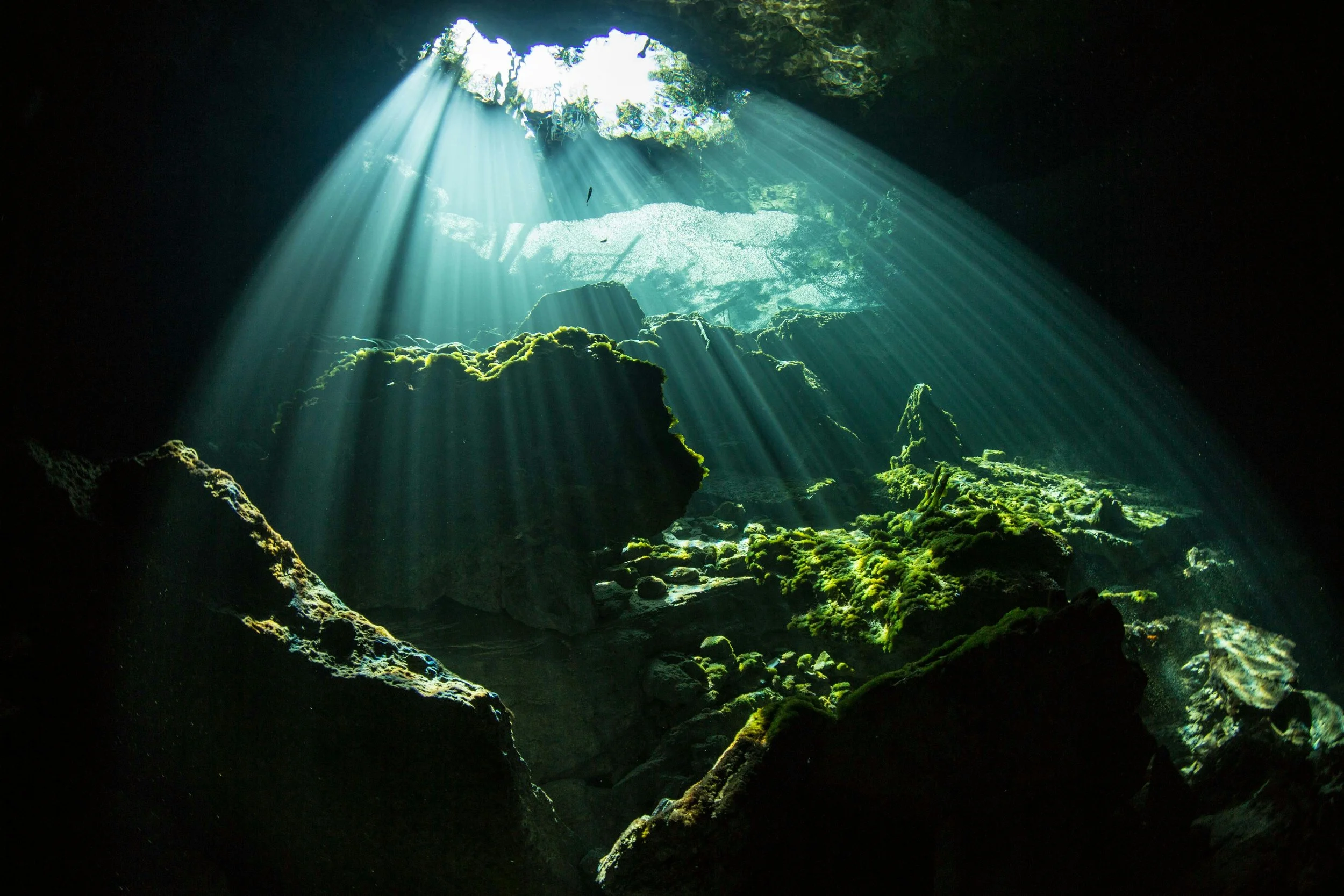 Une photo d'une grotte sous-marine éclairée par des rayons de lumière du soleil pénétrant à travers une ouverture au-dessus, avec des rochers recouverts de mousse.