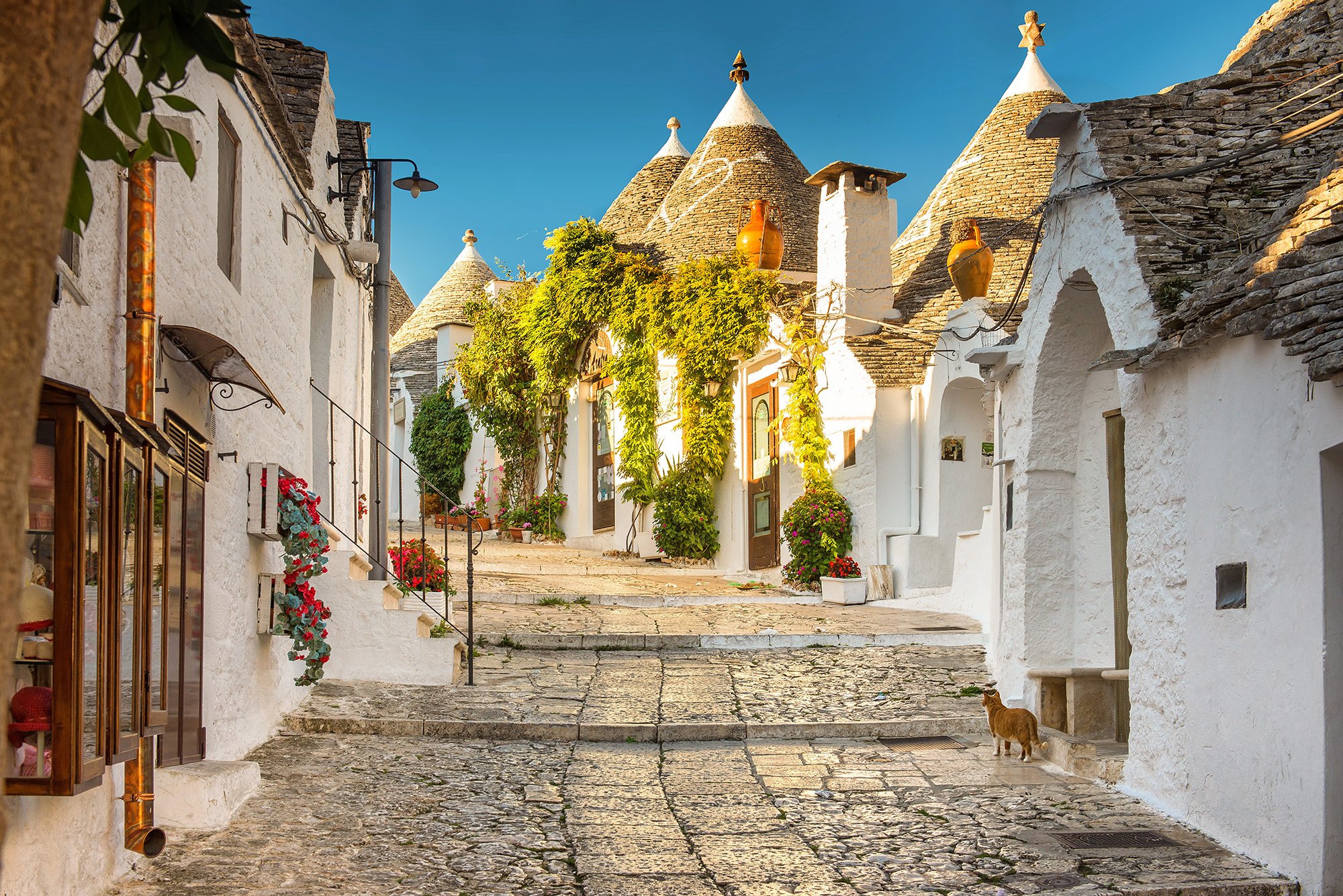 Ruelle pavée avec des maisons blanches à toit conique en pierre, décoration florale et chat au coin de la rue, sous un ciel bleu