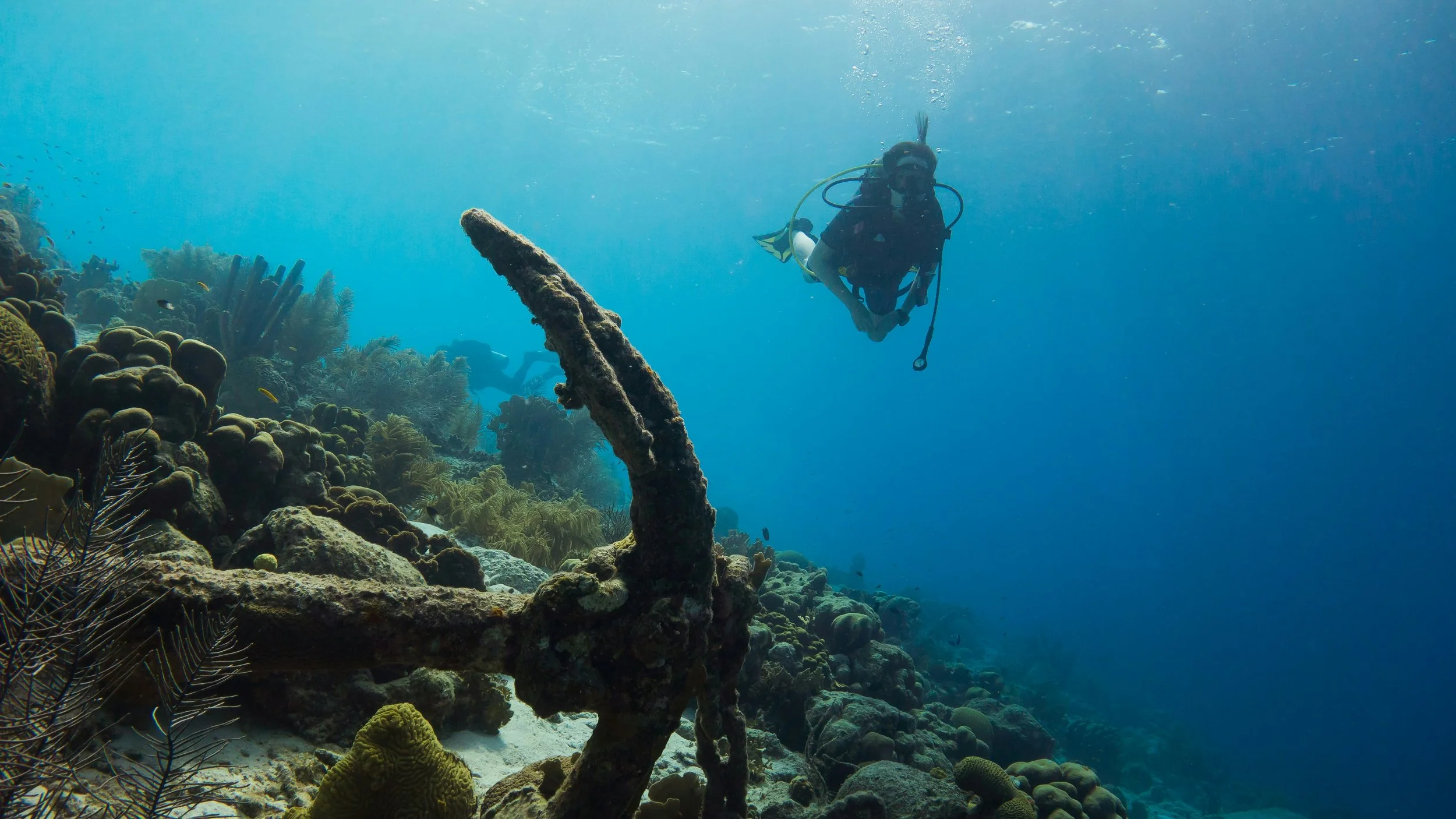 Plongée sous-marine avec un pêcheur en scaphandre nageant au-dessus d'une barrière de corail colorée.