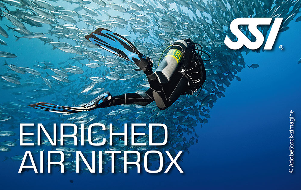 Plongée sous-marine avec un scaphandre en plongée, entouré d'un banc de poissons. plongée formation Nitrox "Enriched air nitrox"