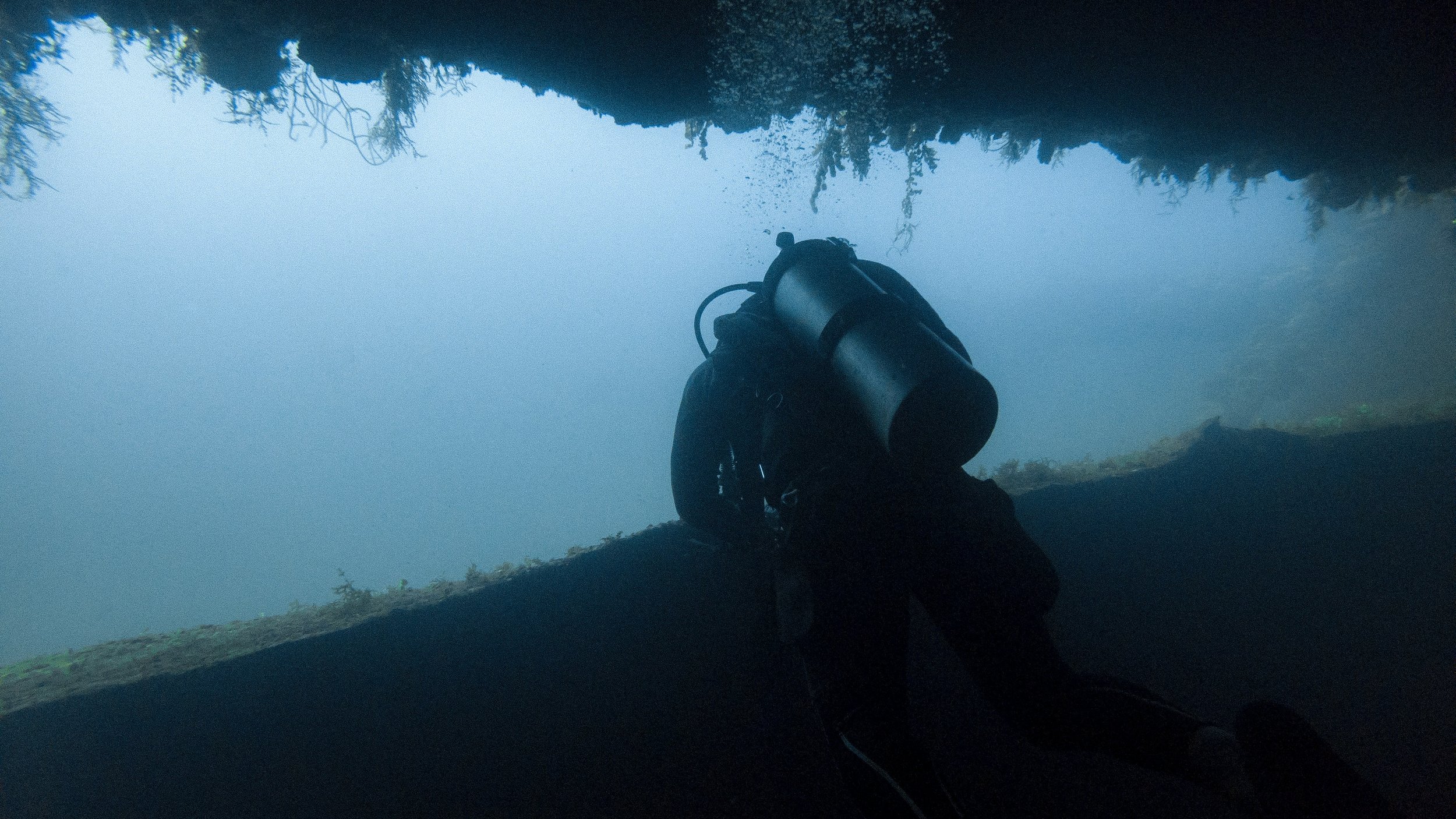 Plongée sous-marine dans une grotte ou un tunnel côtier, avec un plongeur équipé d'un tuba et de bouteilles de plongée, nageant dans une faune ou une flore aquatique profonde.