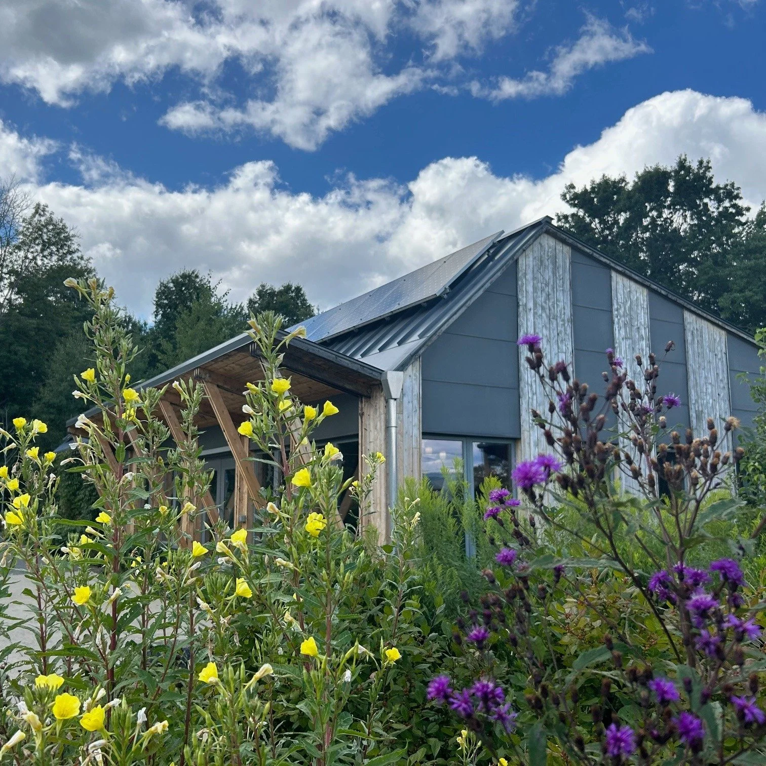 The Hitchcock Center, Native Plants
